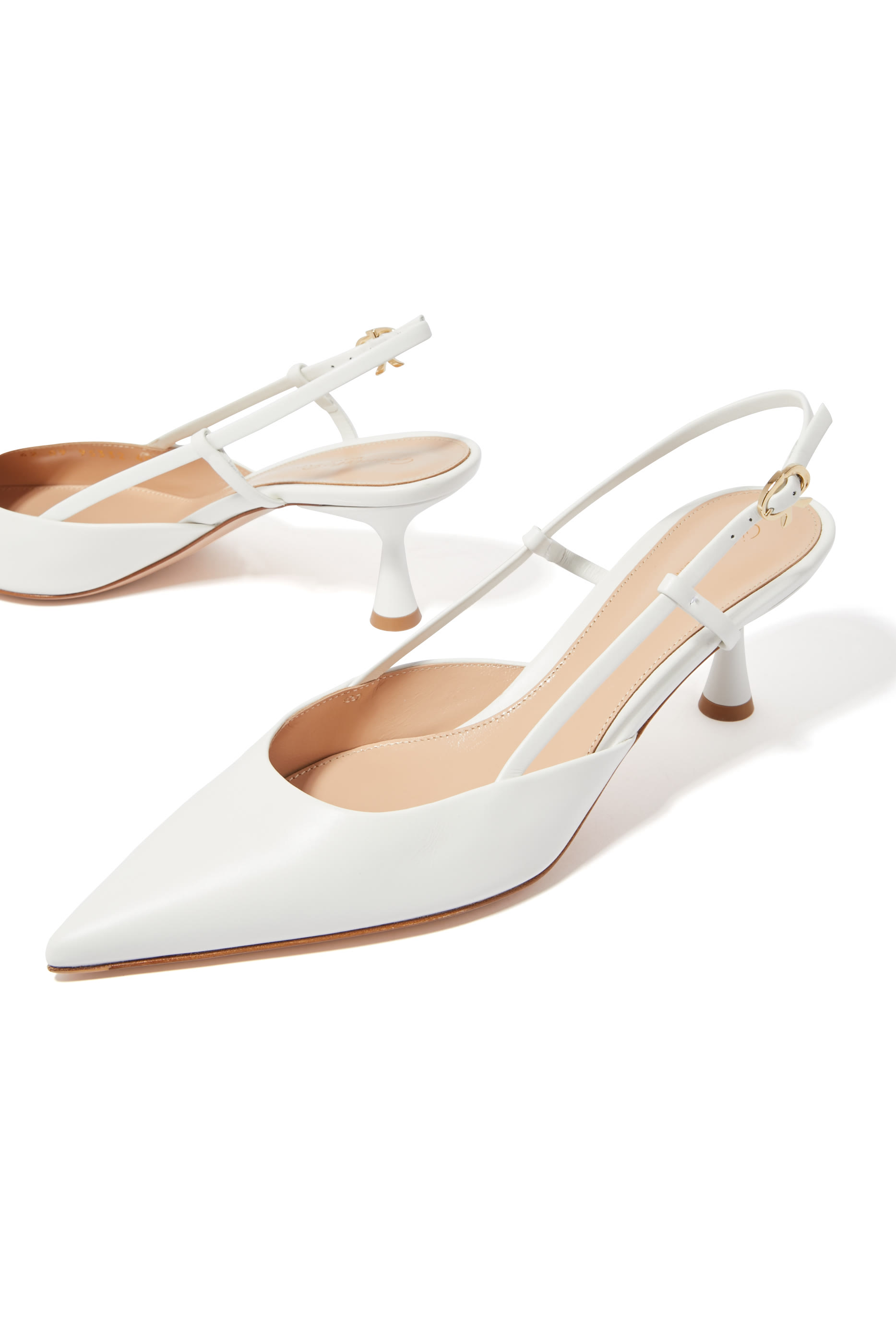 صندل اسنت 55 بسير خلفي