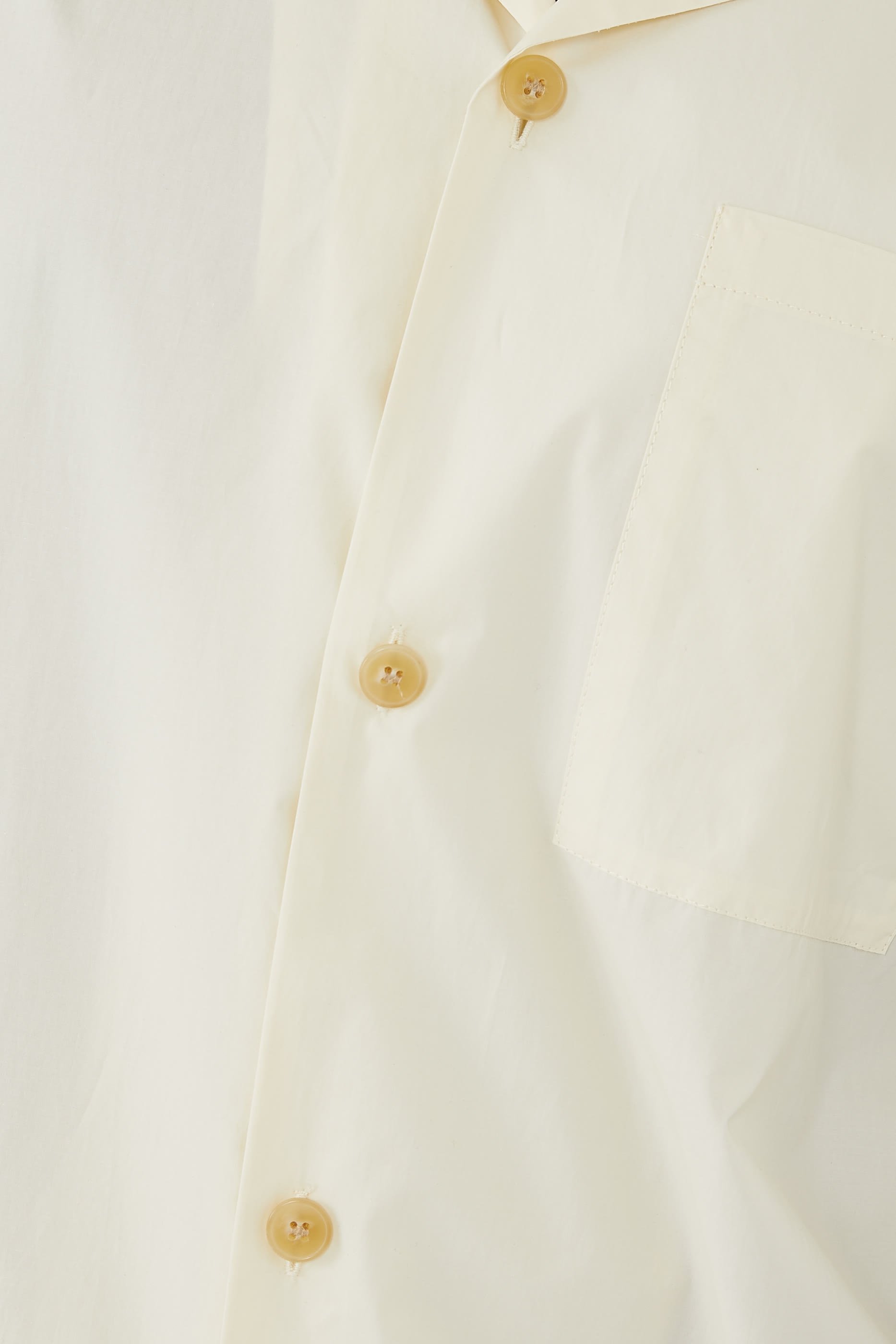 قميص شليم روزورت مجعد