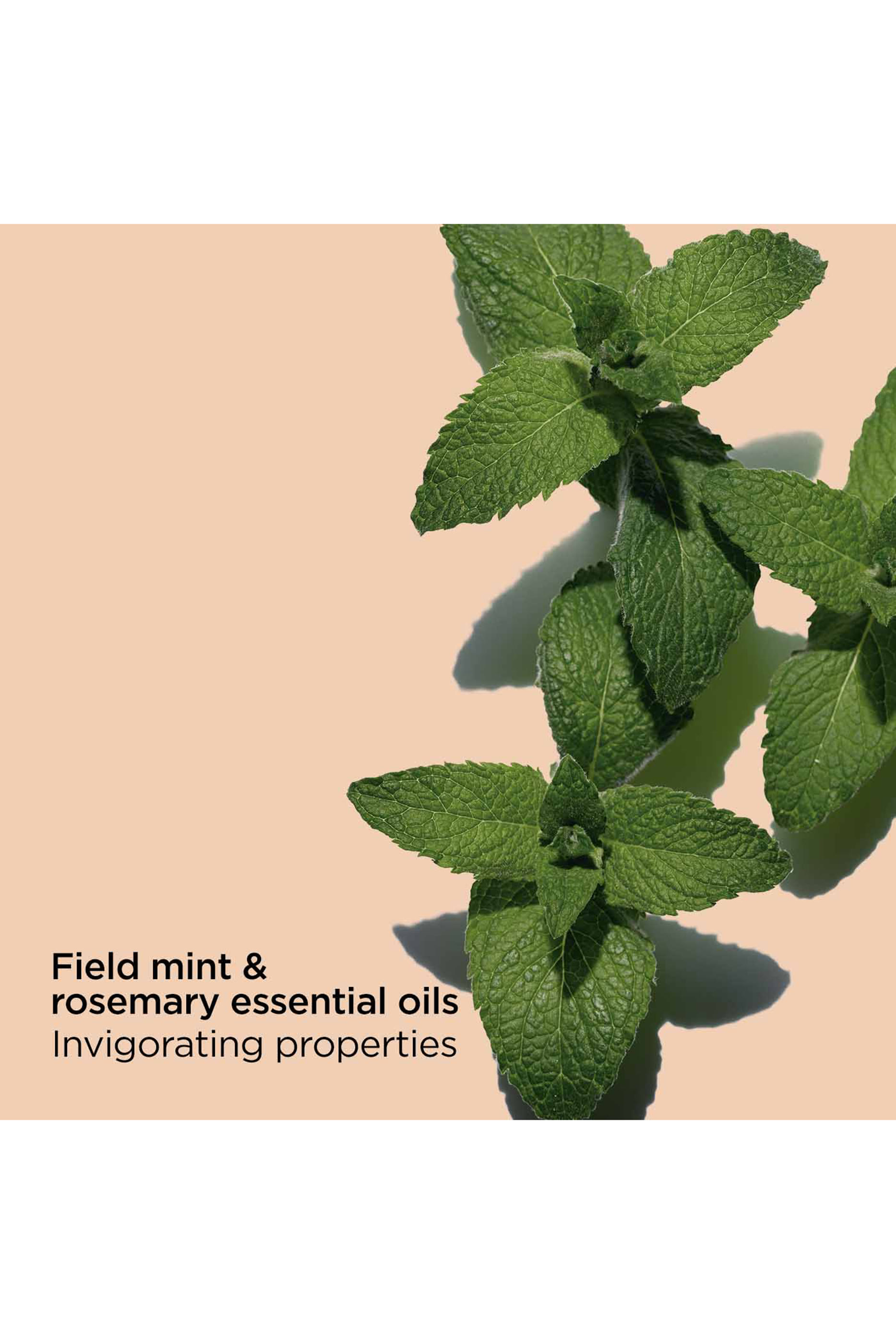 مرطب الجسم تونك