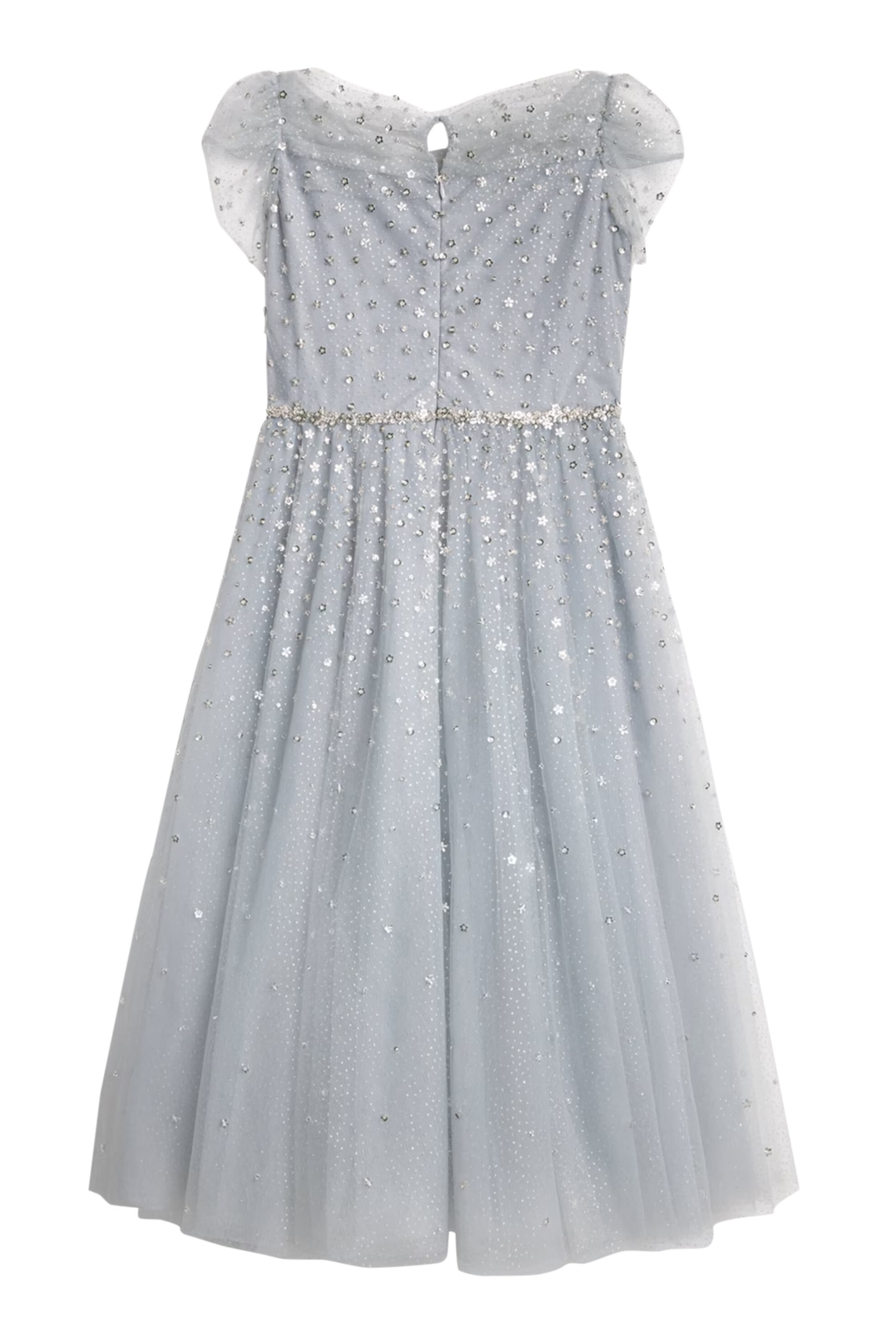 Kids  Embellished Tulle Dress 