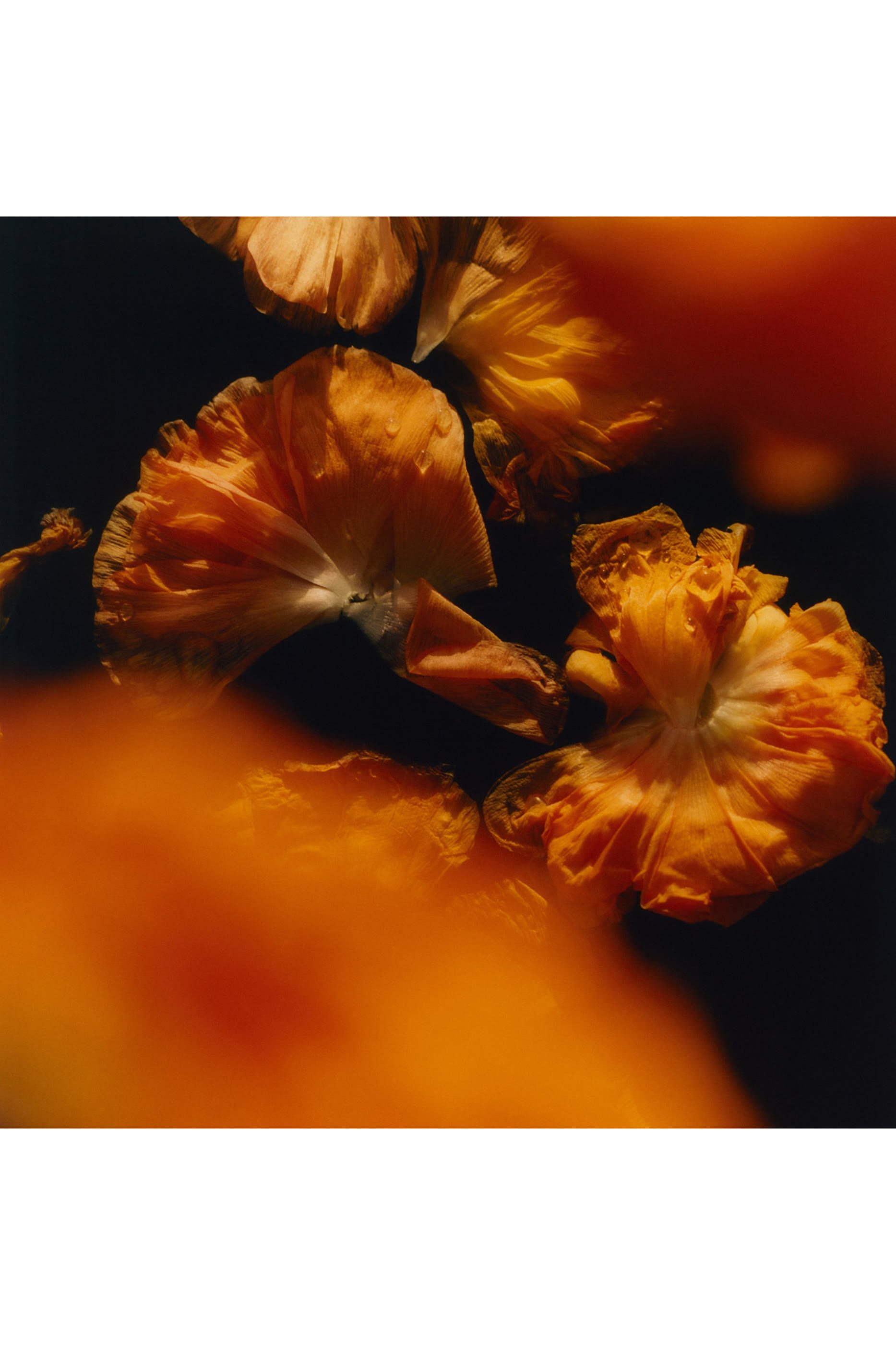 شمعة معطرة سافران 