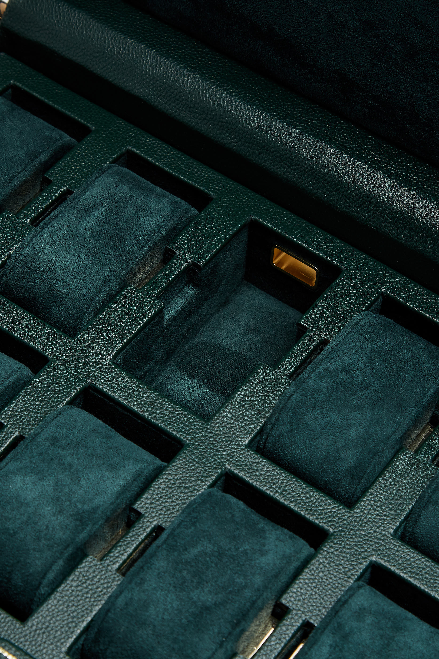 علبة ساعات بريتيش رايسنغ بمساحة تخزين