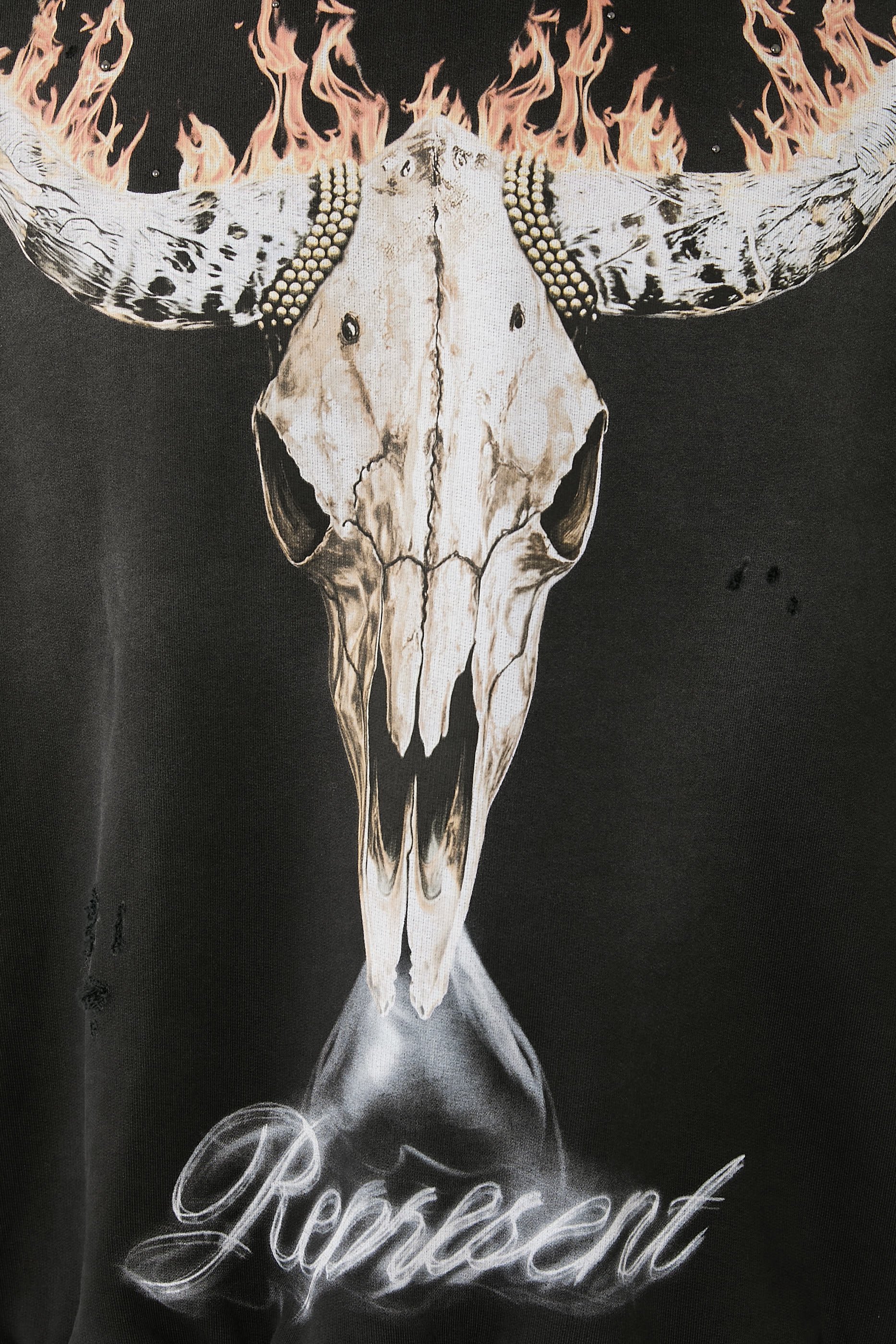 هودي بريتيش كاو بويز