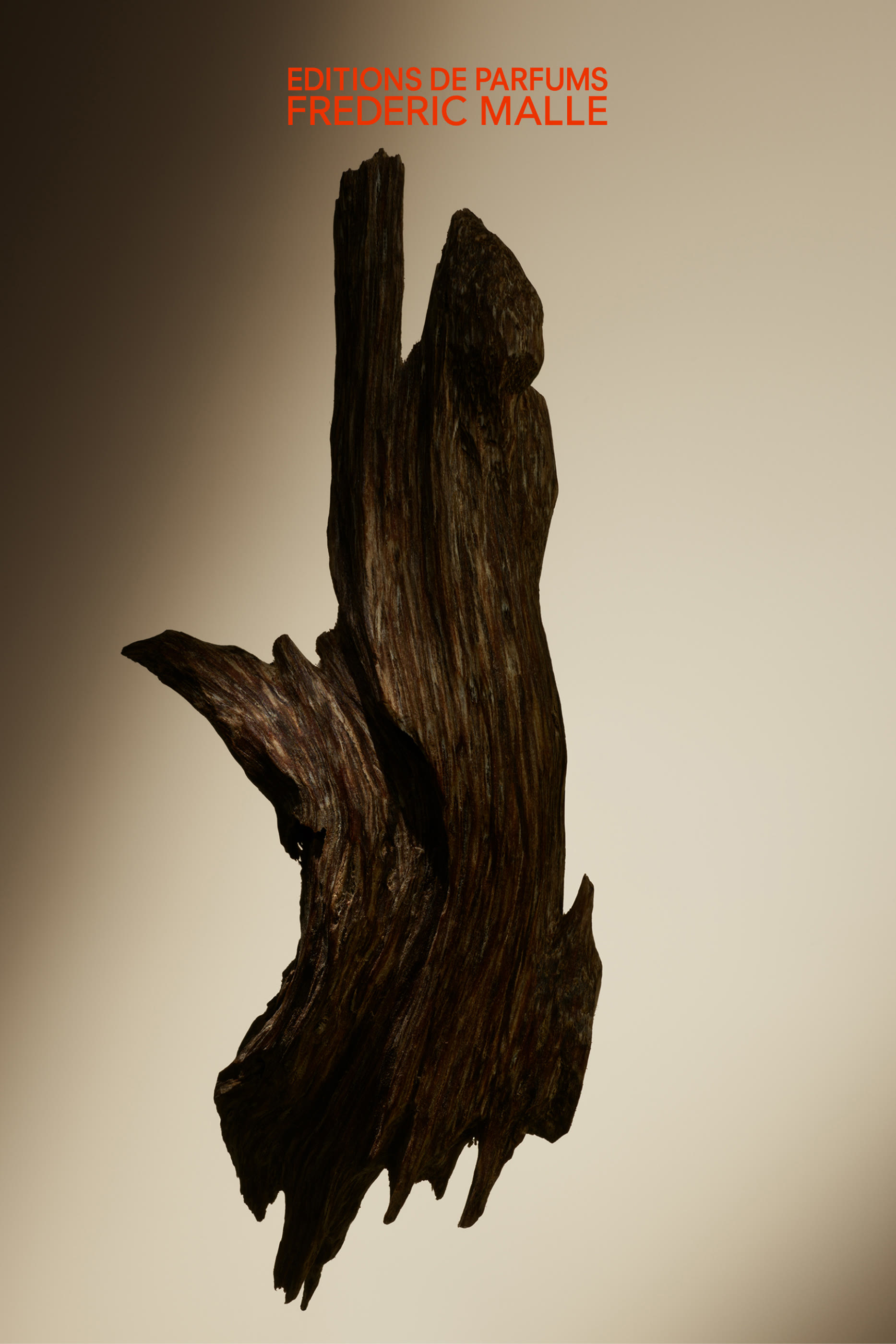 أو دو بارفان أمل