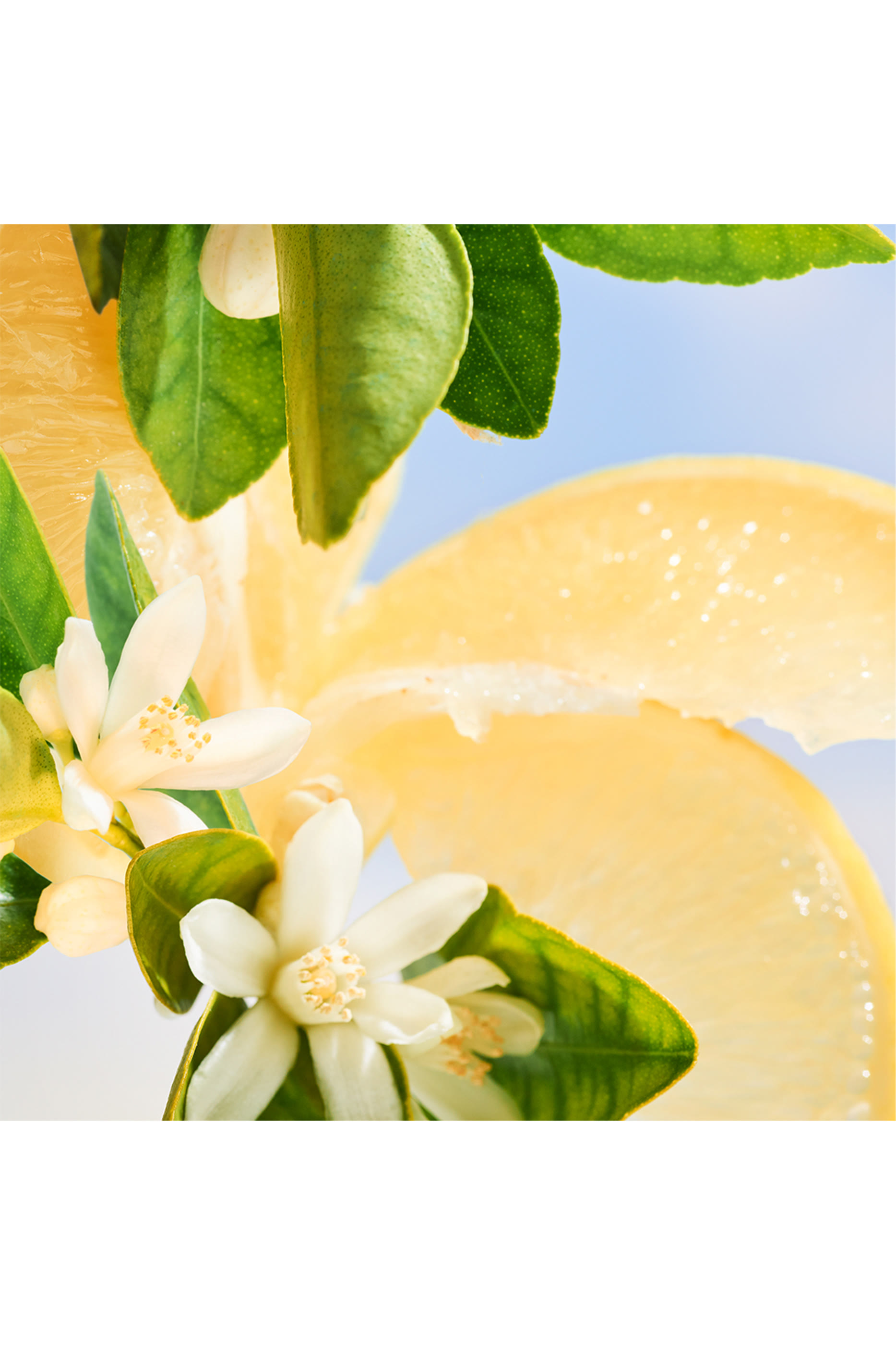 صابون سائل أليجرا ريفا سولار