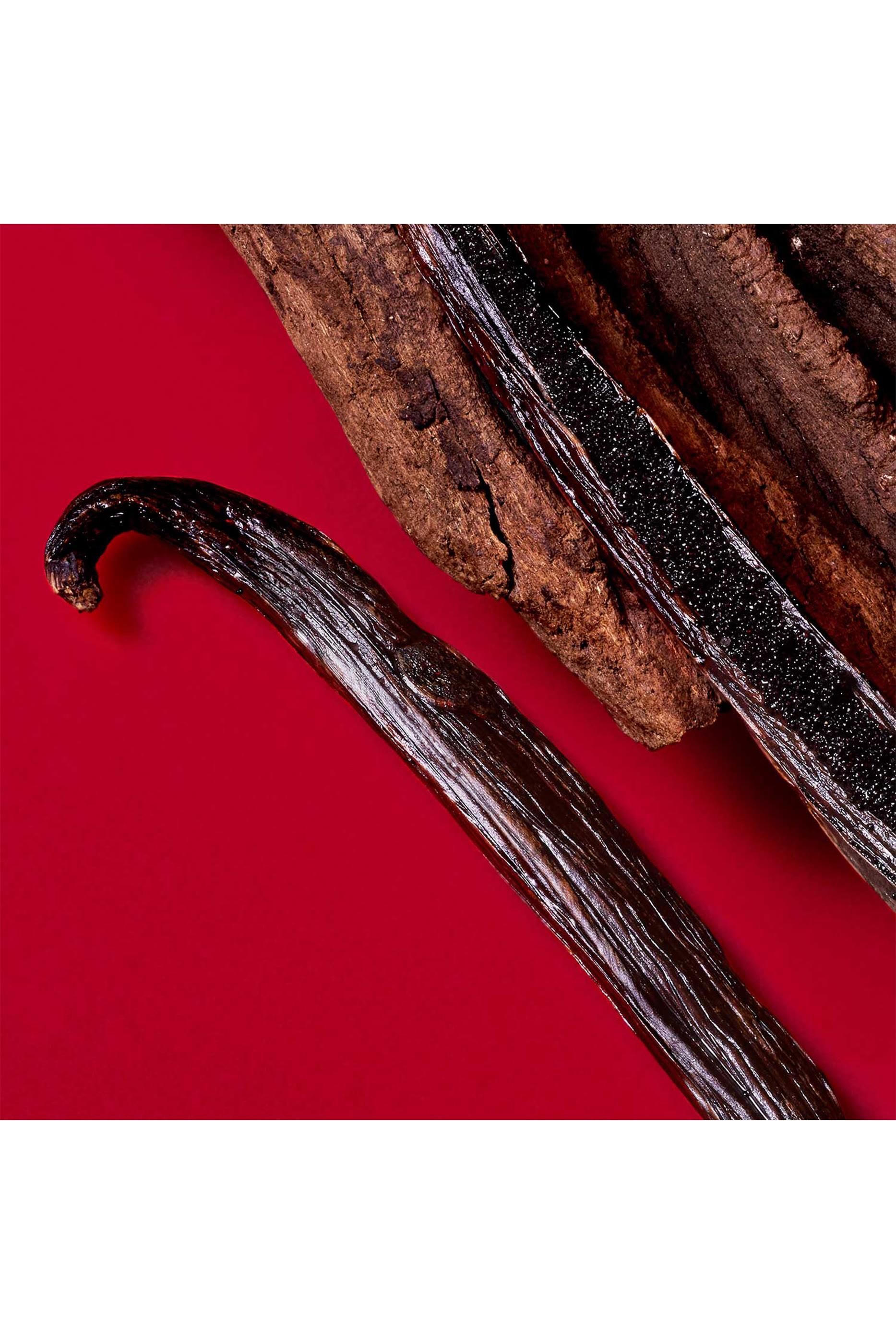  أو دو بارفان سي باشون ريد بلوم