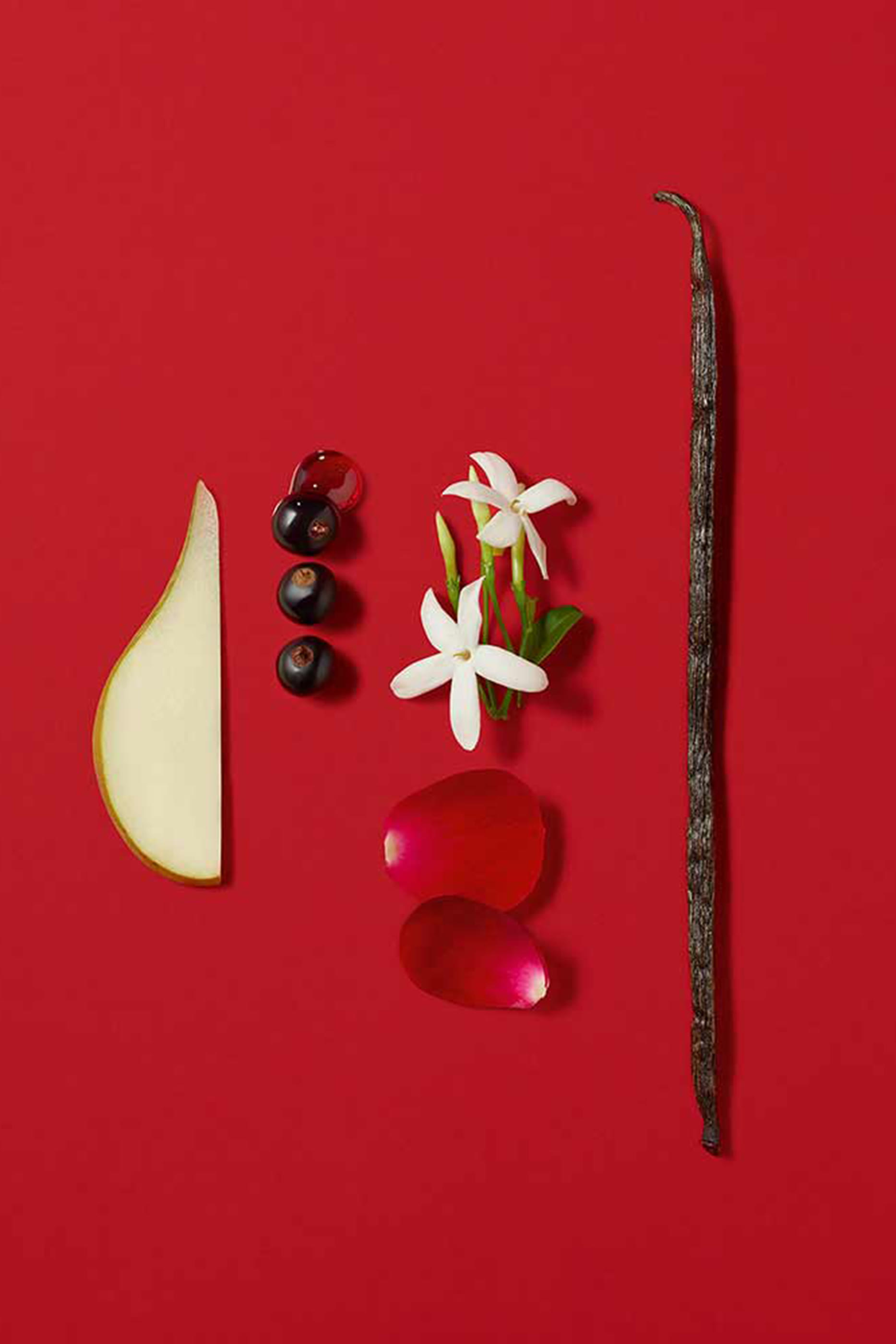 بخاخ شعر سي باسيوني