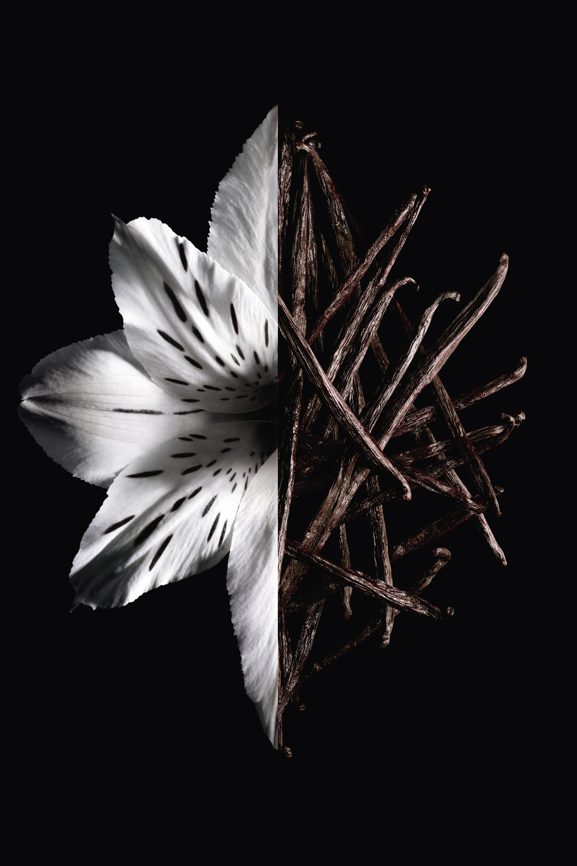 أو دو بارفان مركز لانتيردي