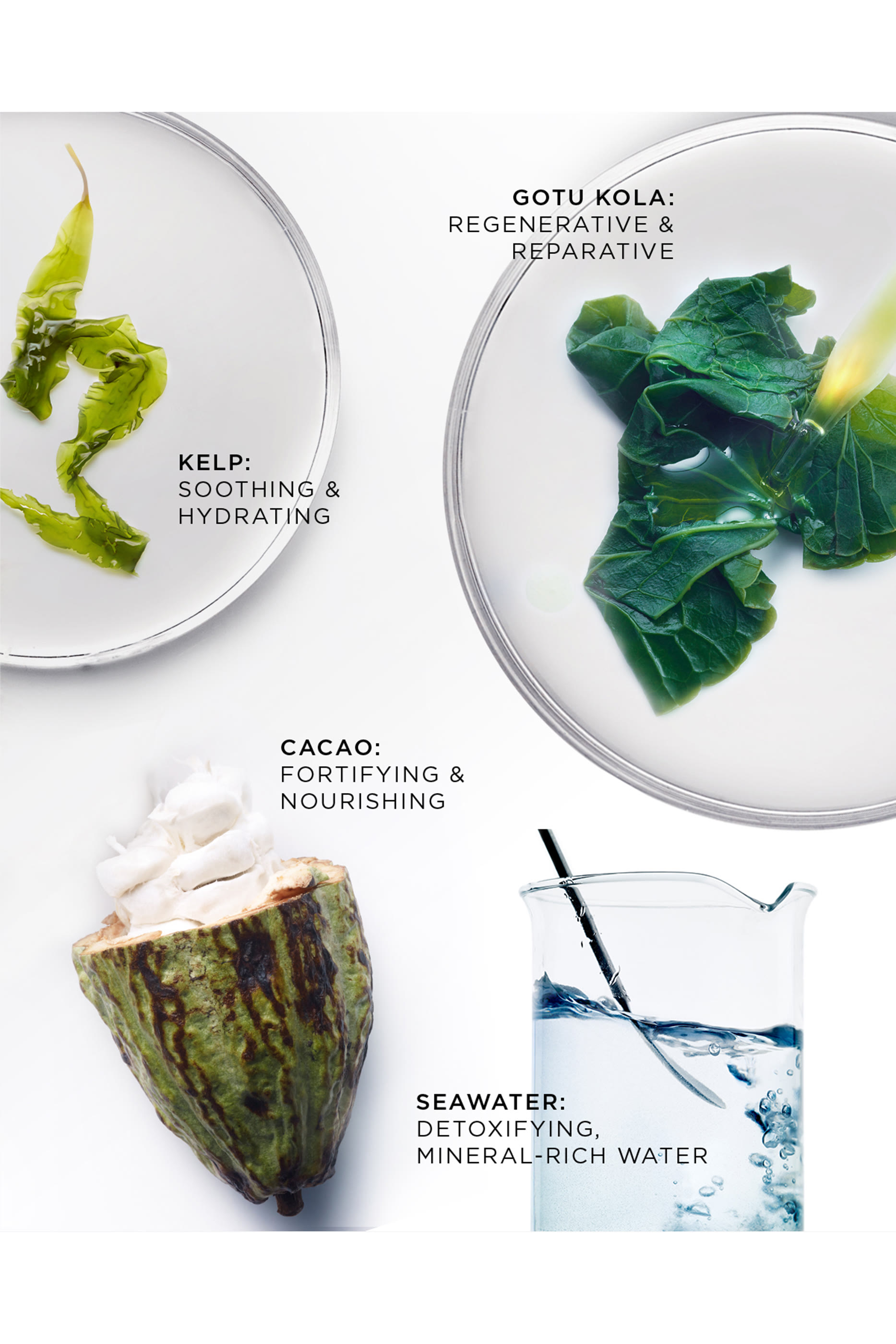 عبوة إعادة ملء كريم ليلي بريليانت