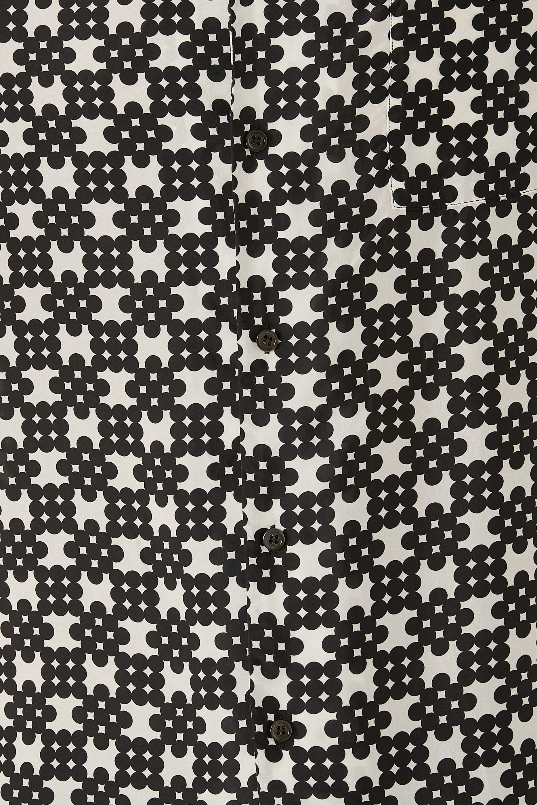 قميص كارلتون