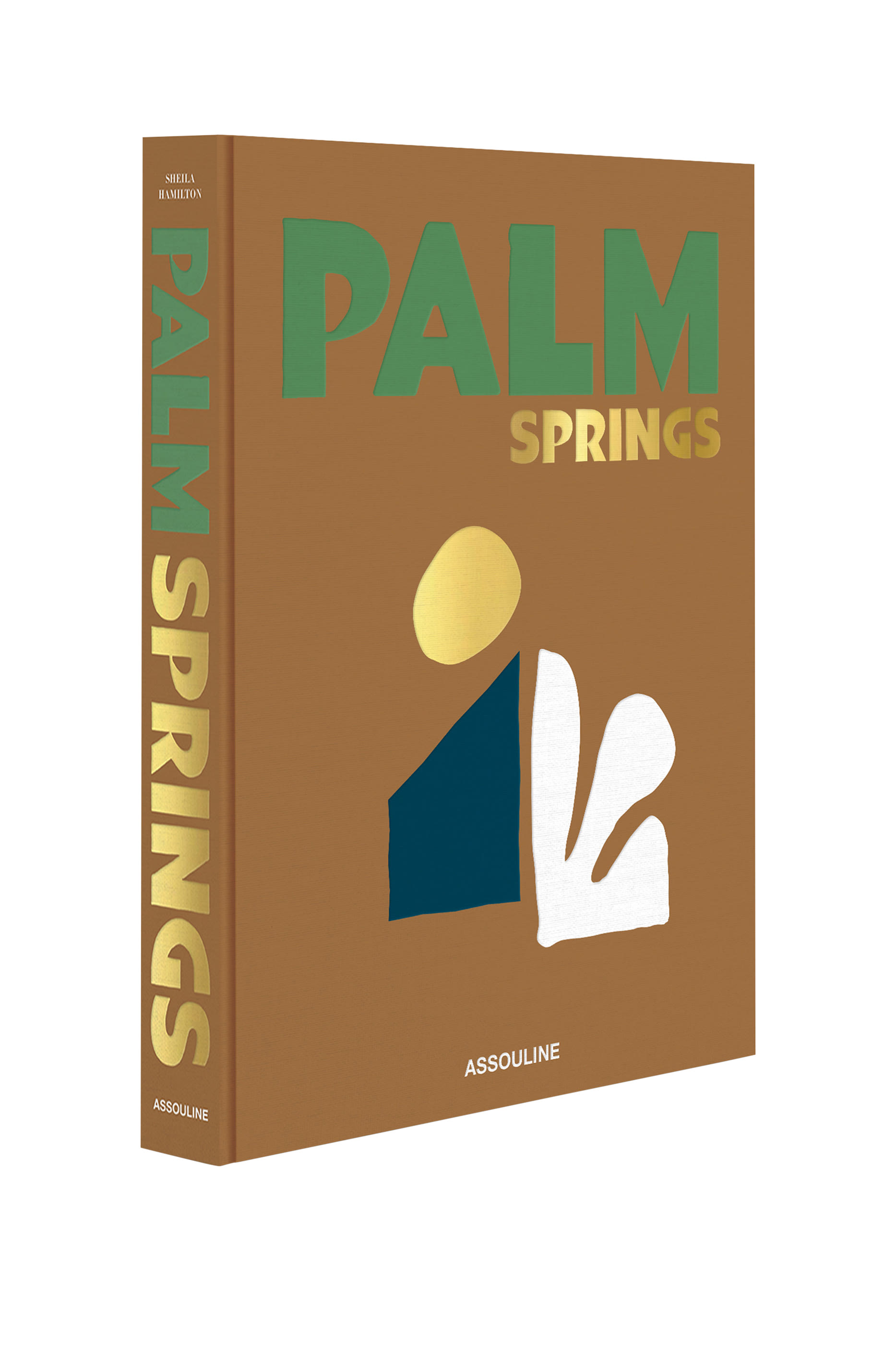 كتاب بالم سبرينغز