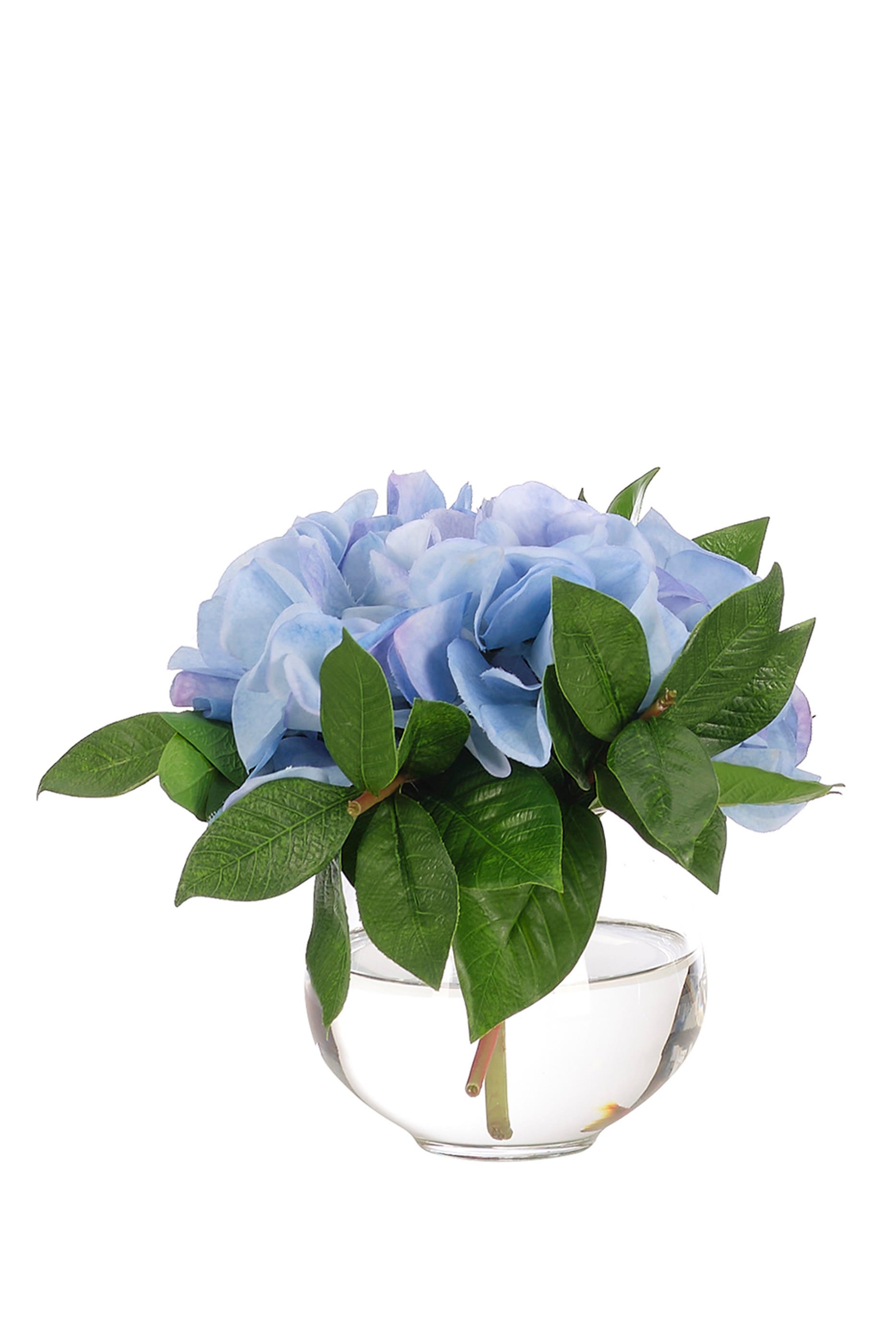 باقة زهور هايدرنجا في مزهرية زجاجية