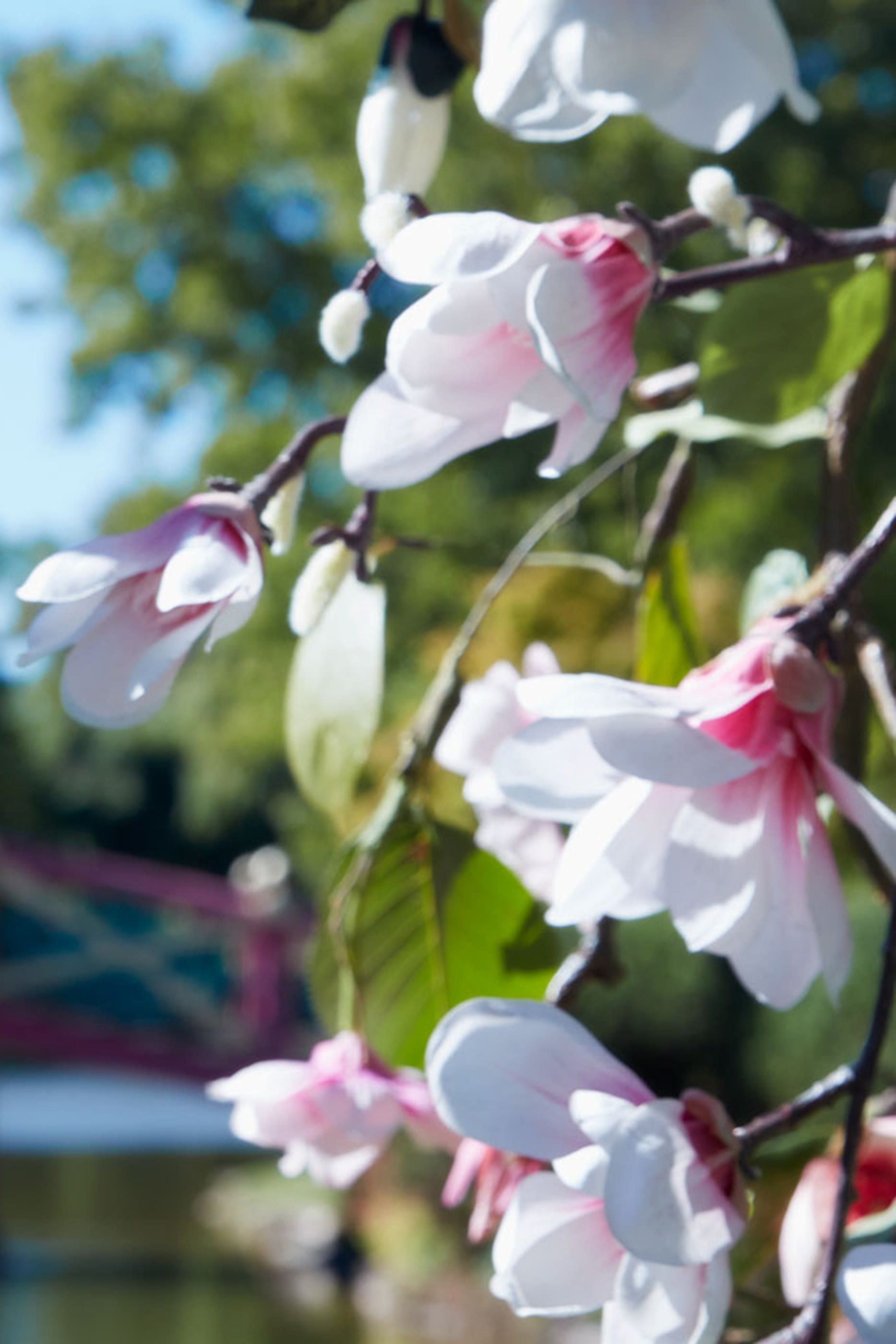 شمعة ريبليكا سبرنج تايم إن اي بارك