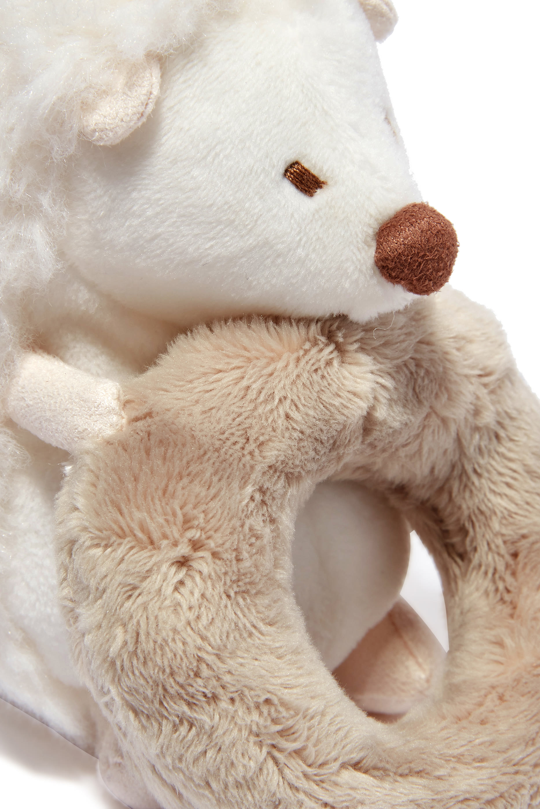 خشخيشة ليون بتصميم القنفذ