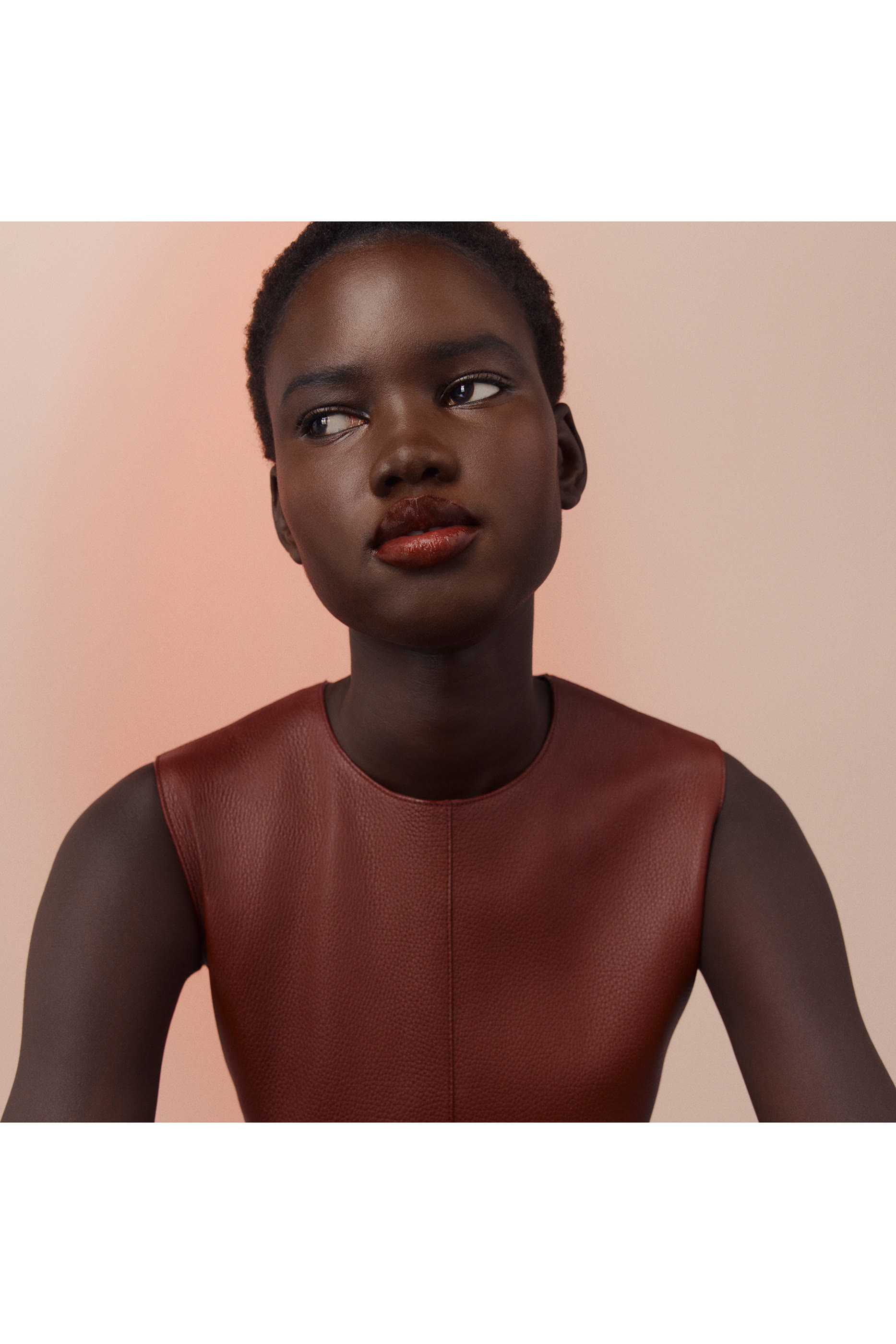 زيت العناية بالشفاه Herm&egrave;sistible درجة روز ناشي