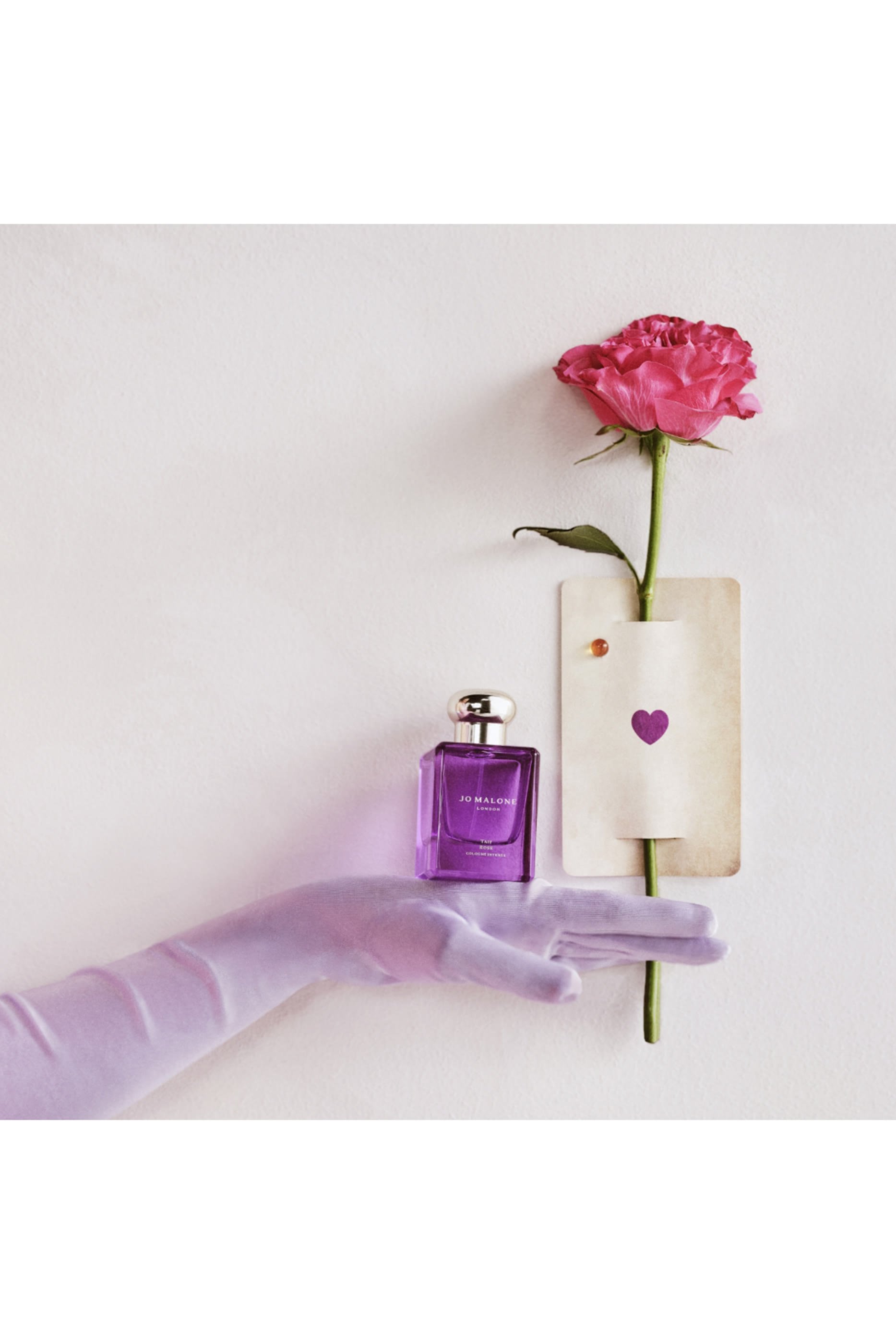 كولونيا مركز طائف روز