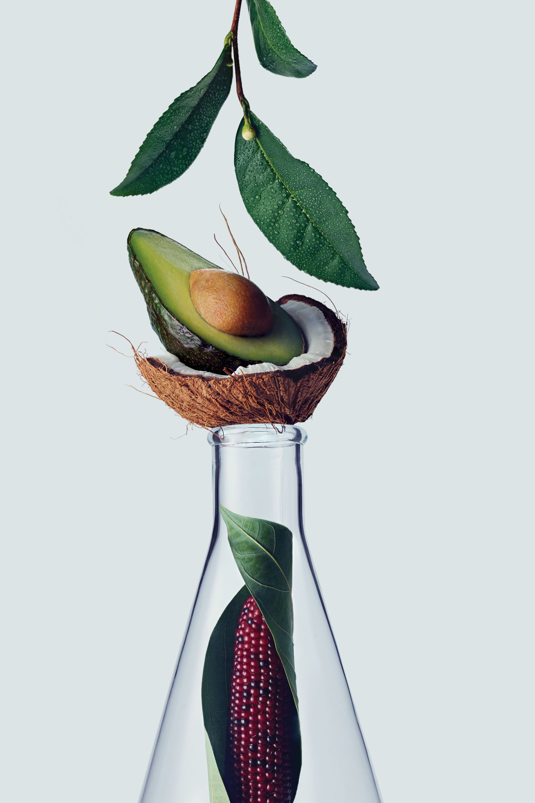 شامبو بوتانيكال ريبير لتقوية الشعر