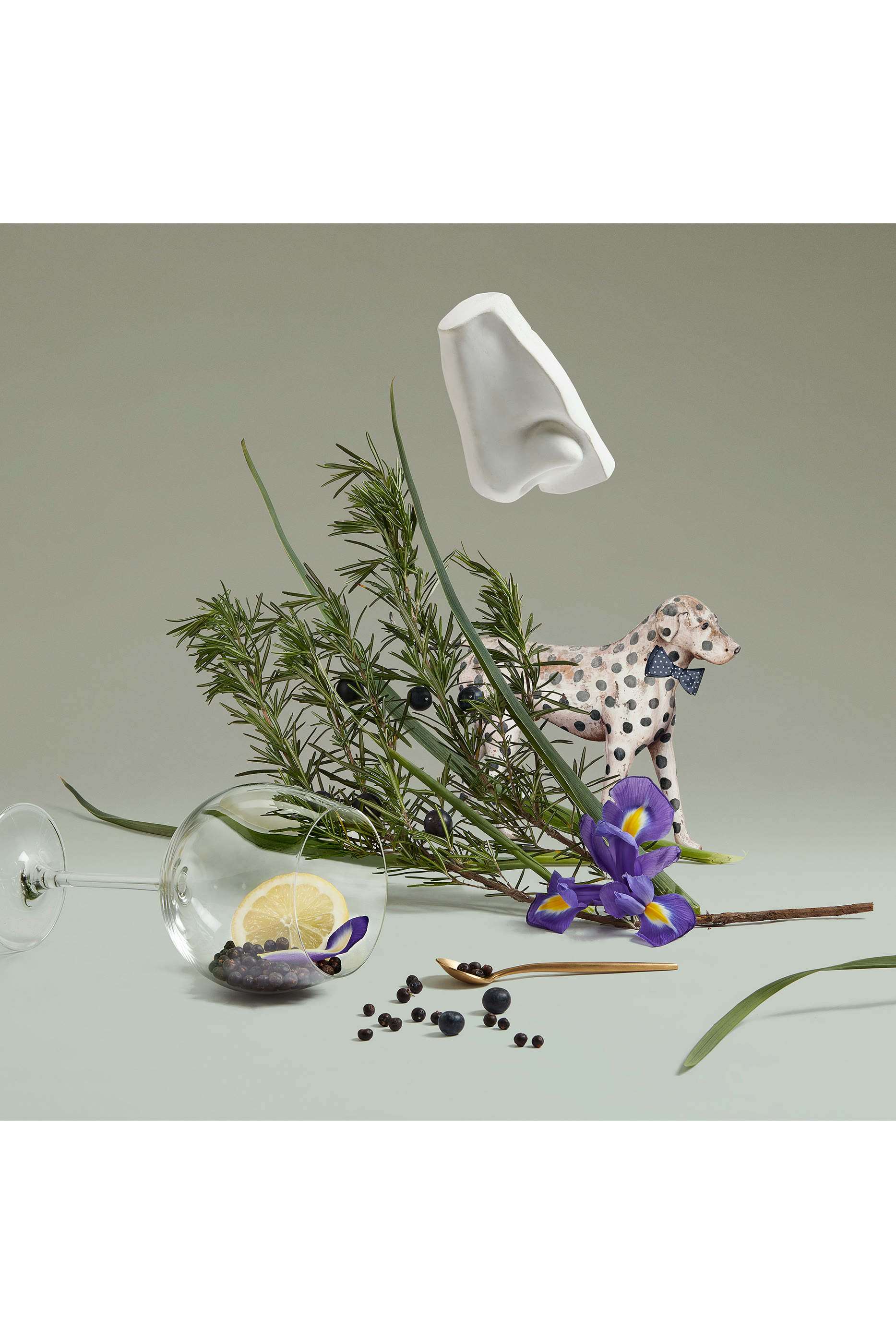 ماء تواليت جونيبر سلينغ