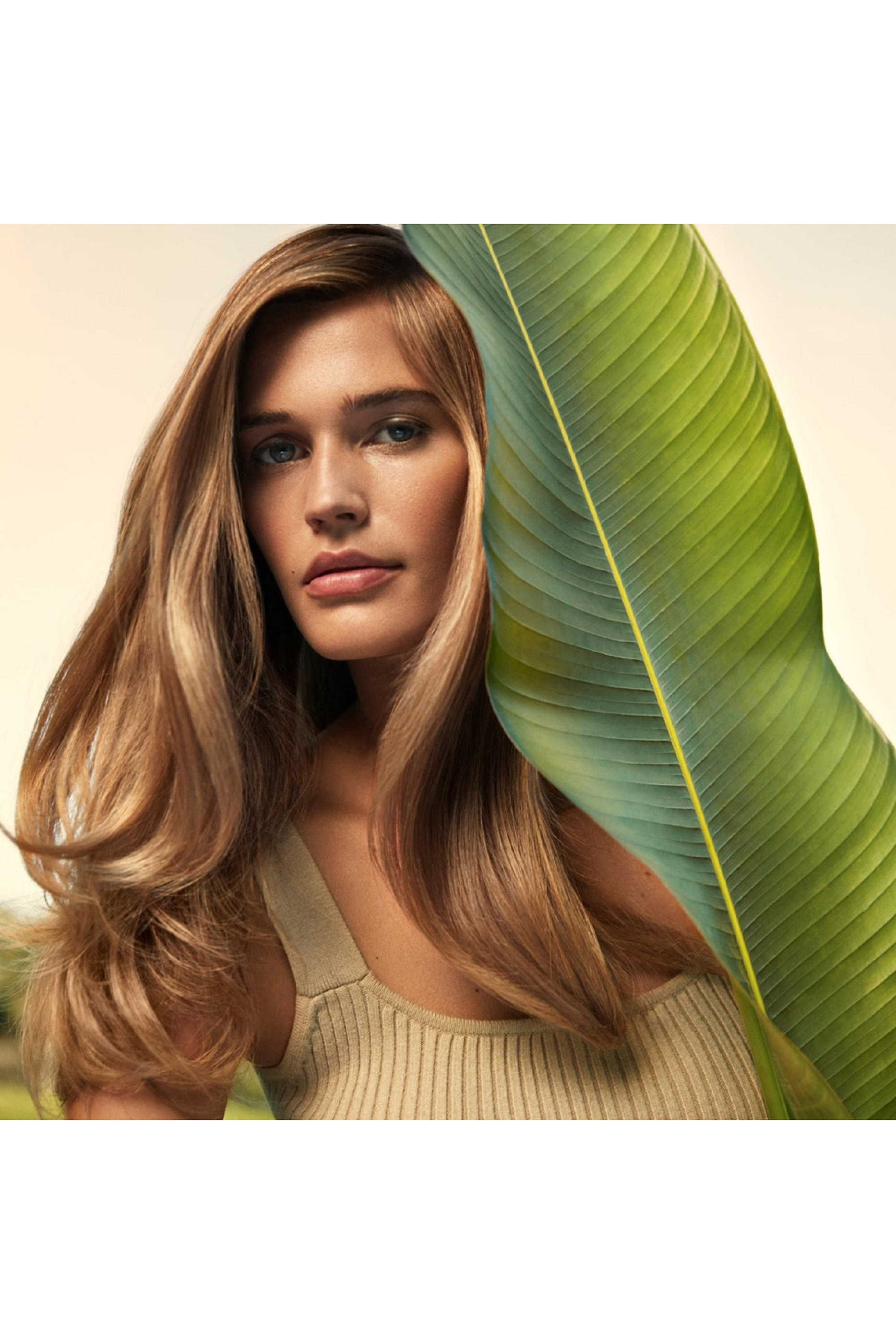 مرطب نيوتري بلينش يترك على الشعر