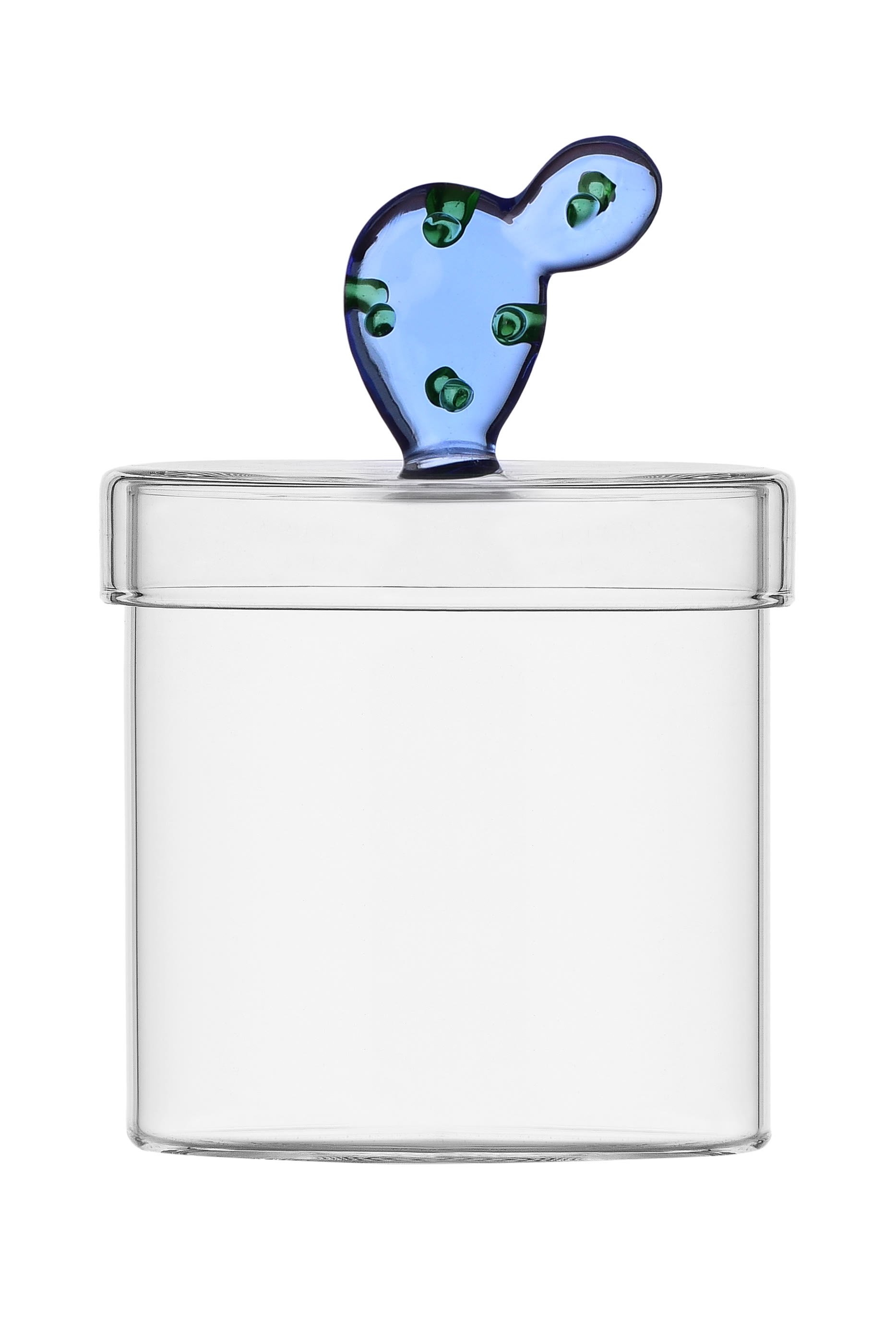 علبة ديزرت بلانت مزينة بصبار