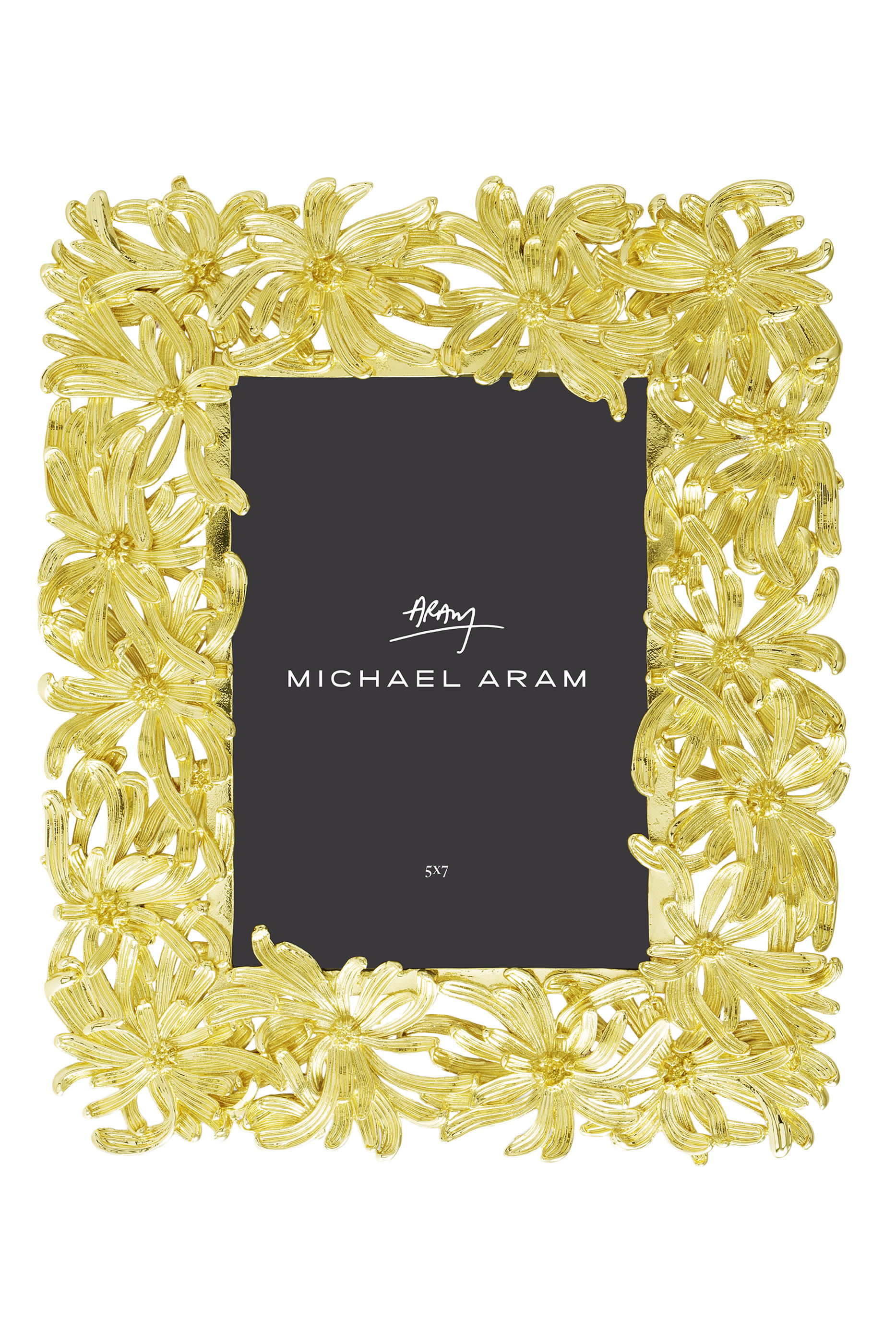 إطار صور بزهور الدهلية