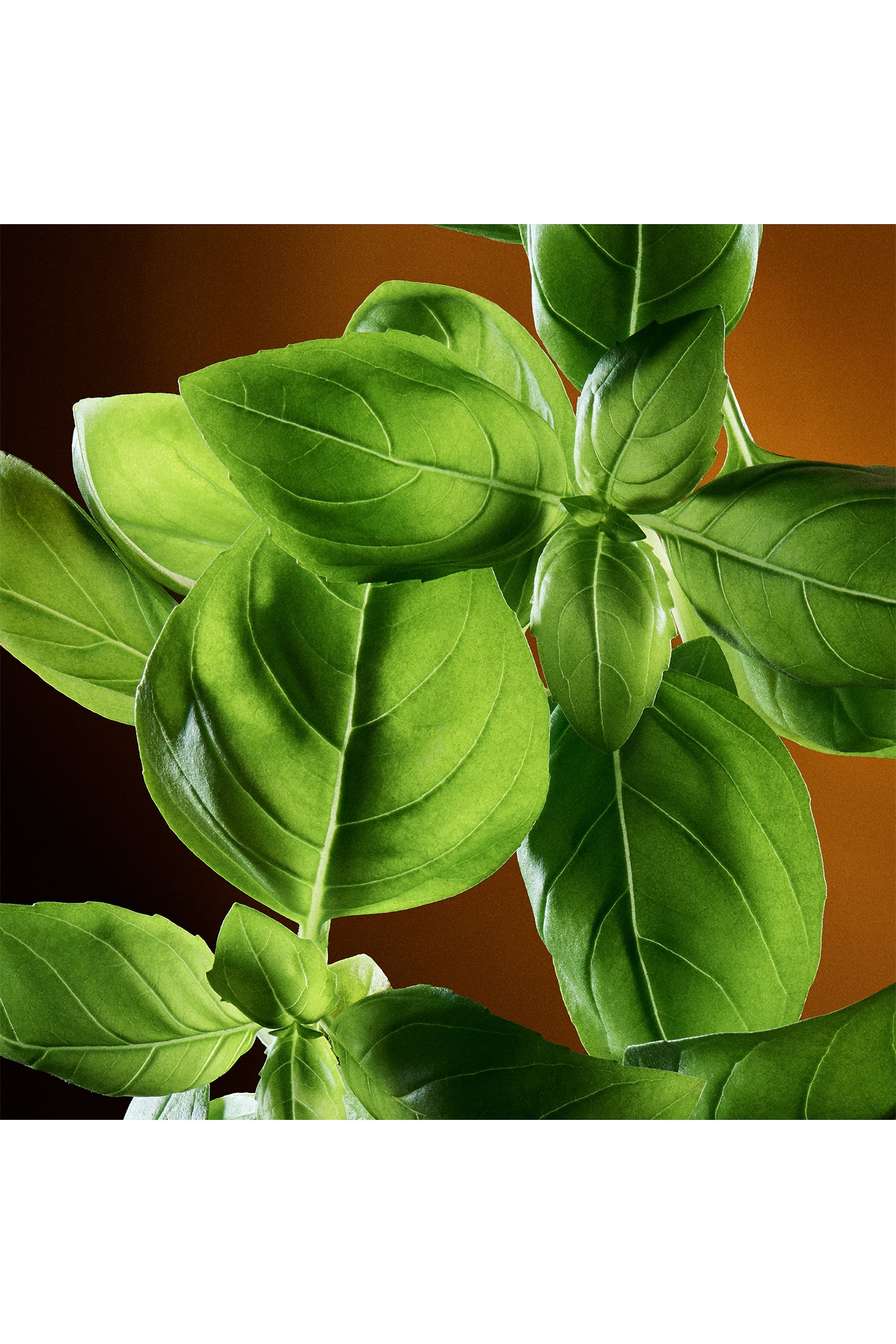 أو دو تواليت ذا وان للرجال