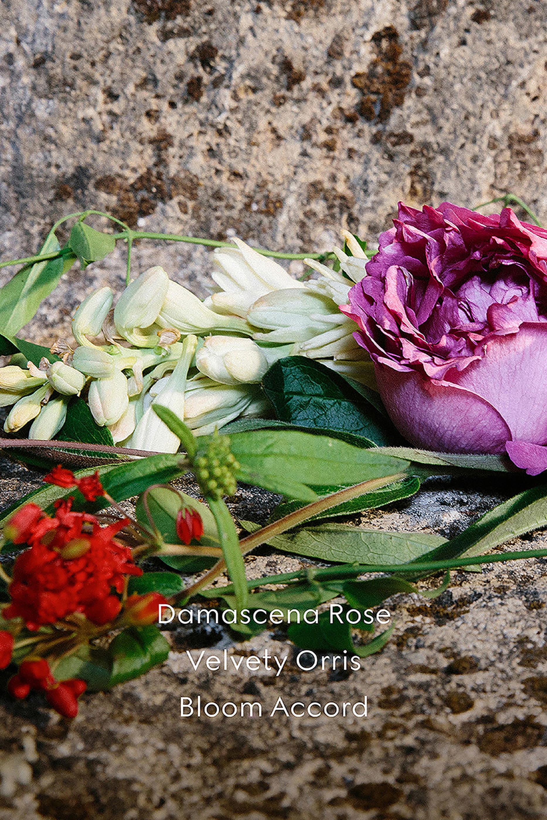 أو دو بارفان غوتشي بلوم امبروسيا دي فيوري