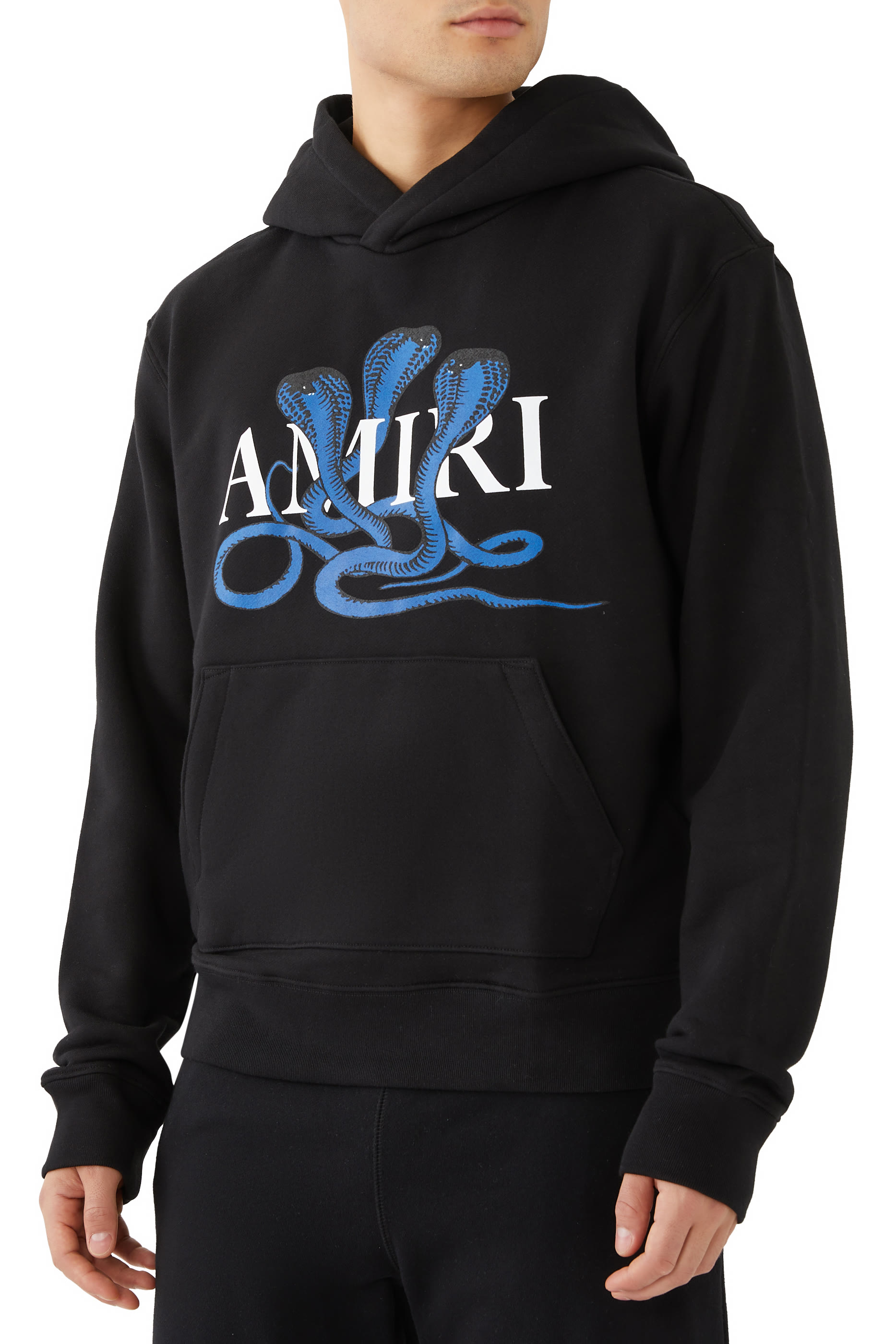 Logo & Snake Graphic Hoodie