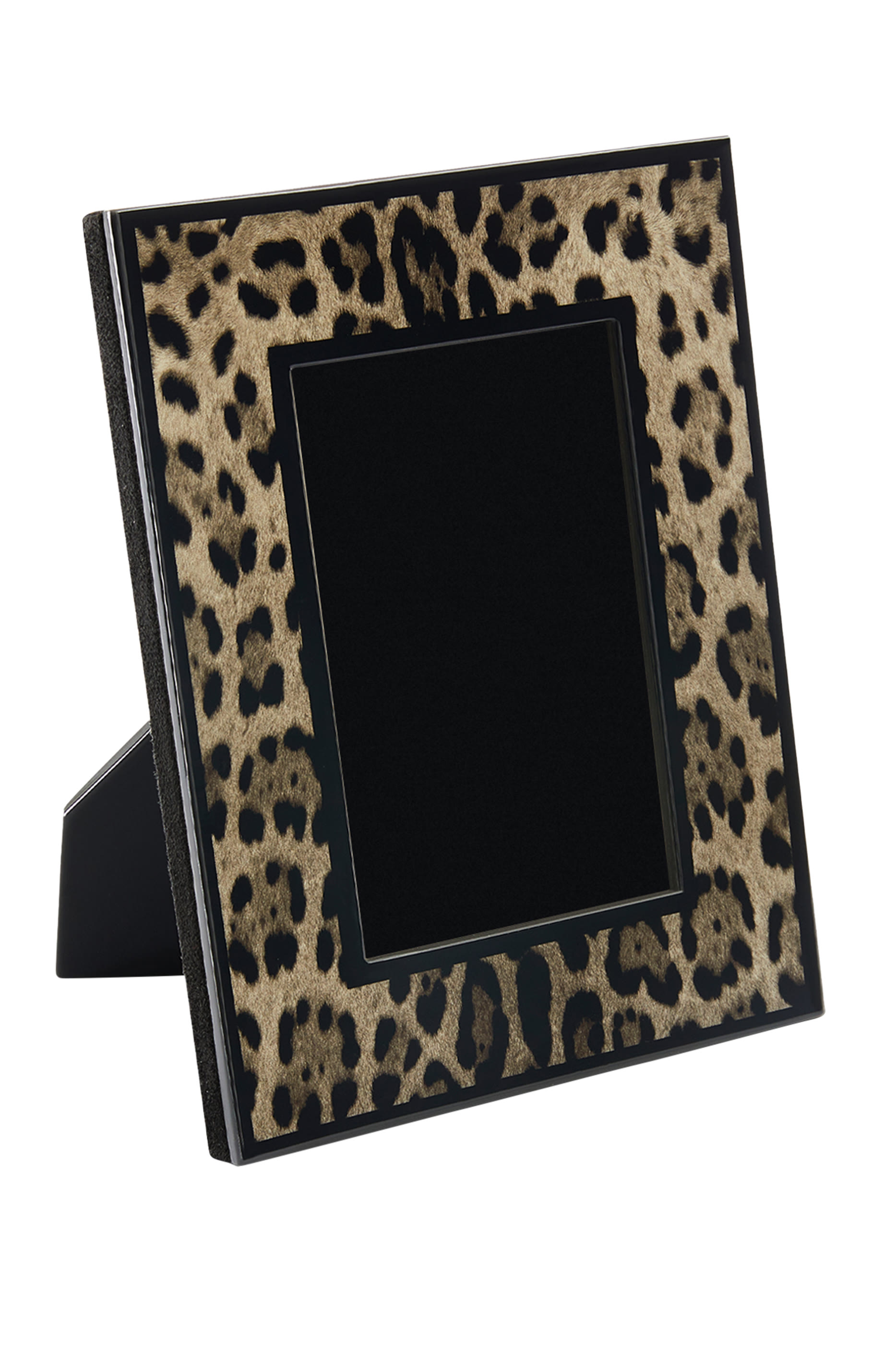 إطار صور ليو