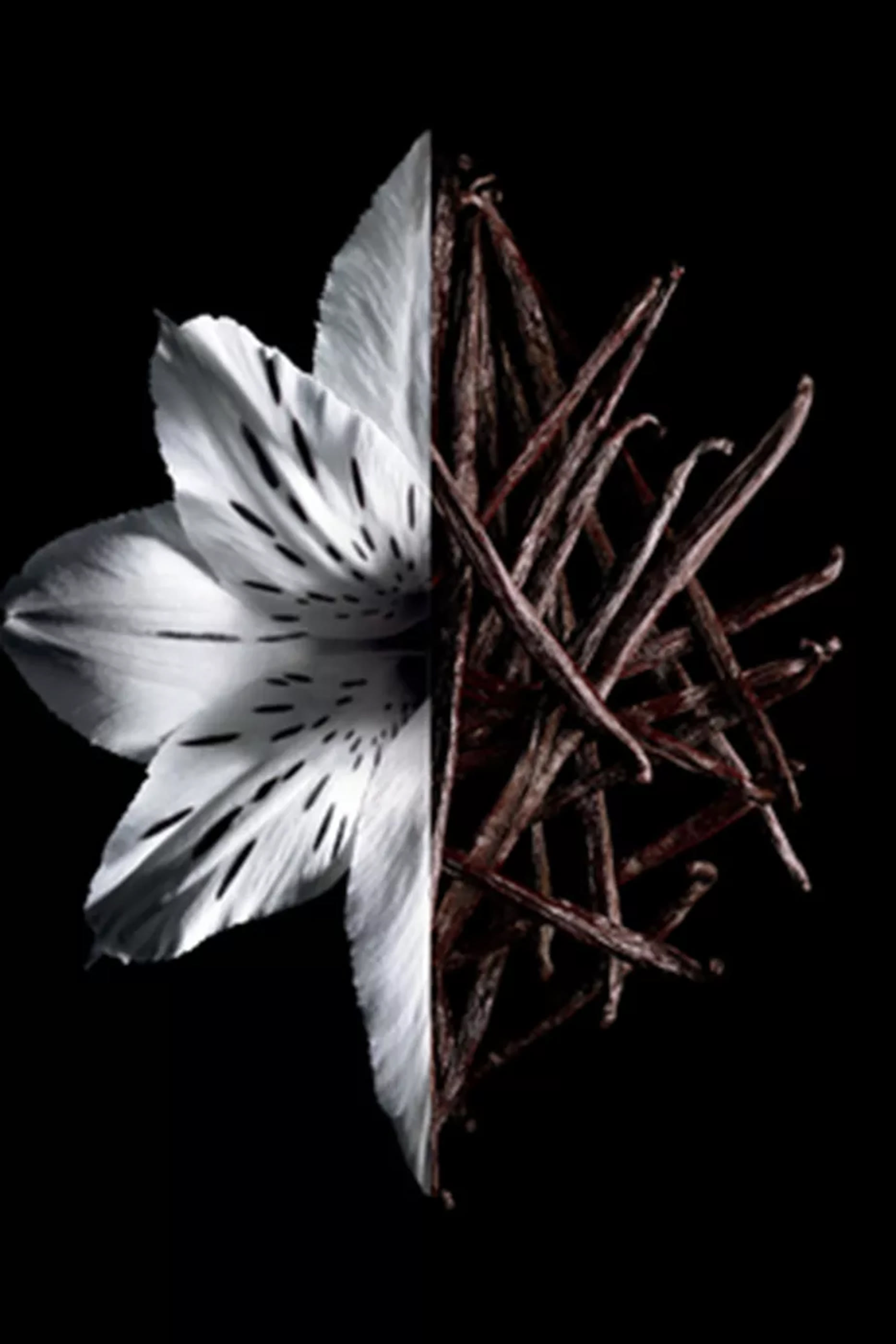 أو دو بارفان مركز لانتيردي