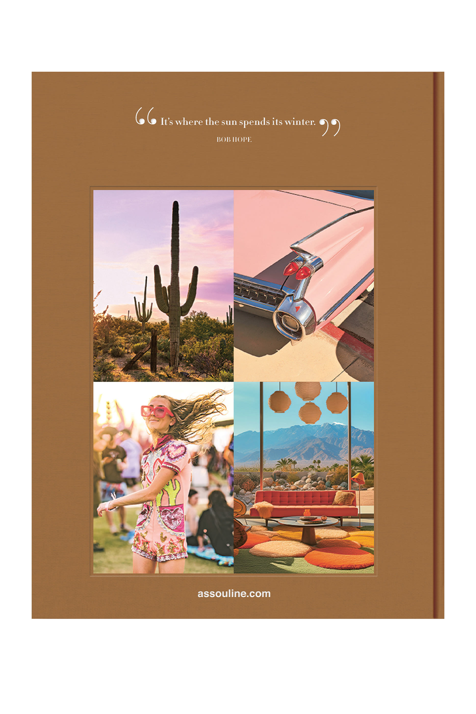 كتاب بالم سبرينغز