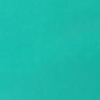 Turquoise/Aqua