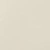 عاجي