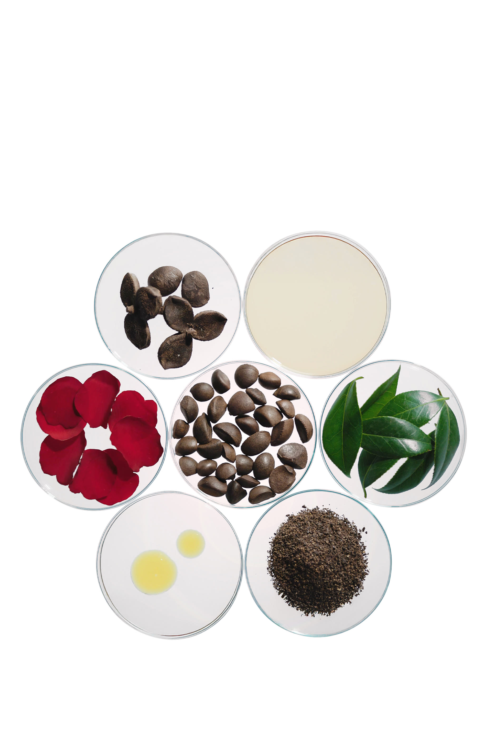 سيروم ألتيميون باور إنفيوينج