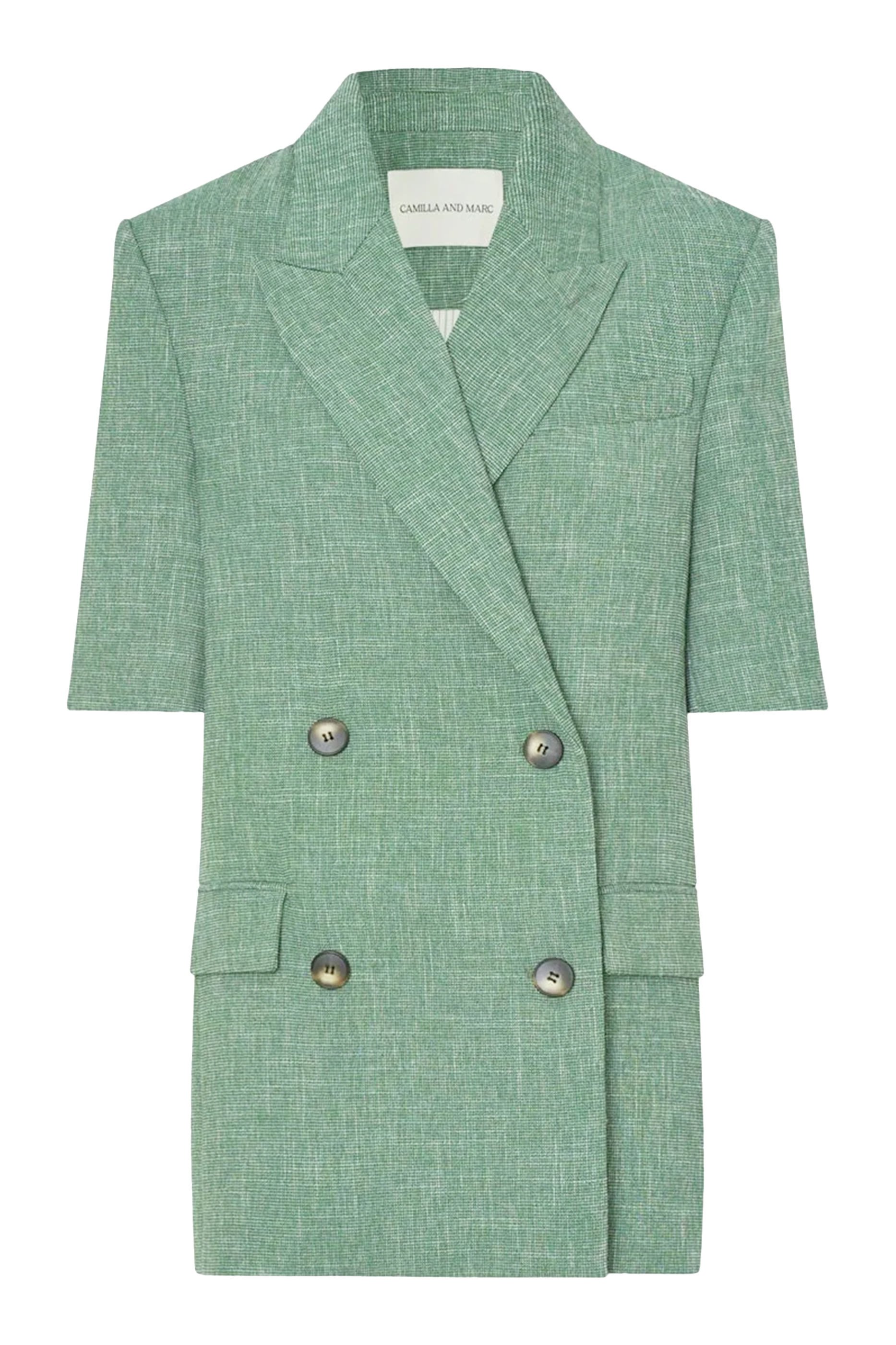 بليزر تيرينس