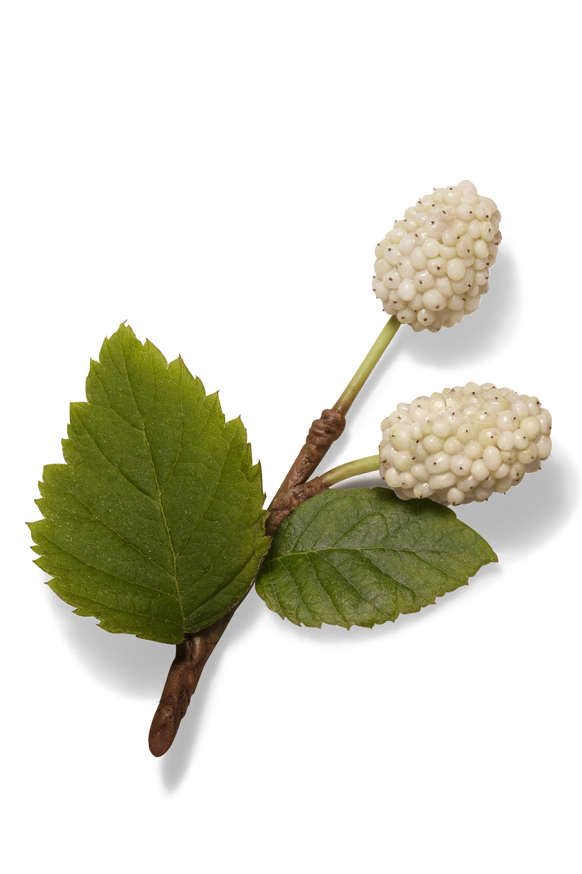 بلسم البشرة Hermès Plein Air