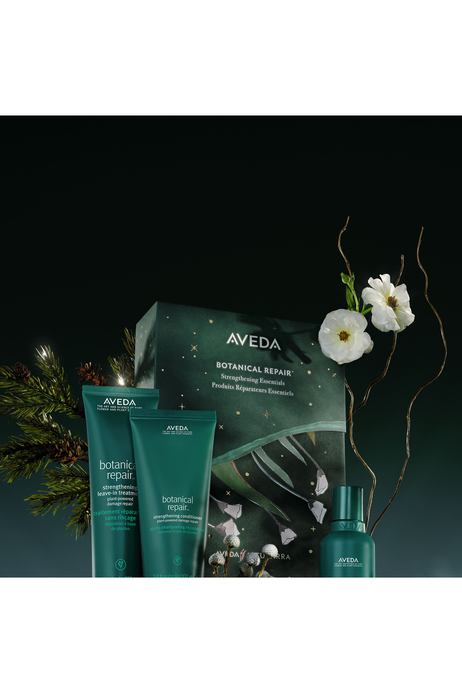 مجموعة هدايا أساسية بوتانيكال ريبير لتقوية الشعر