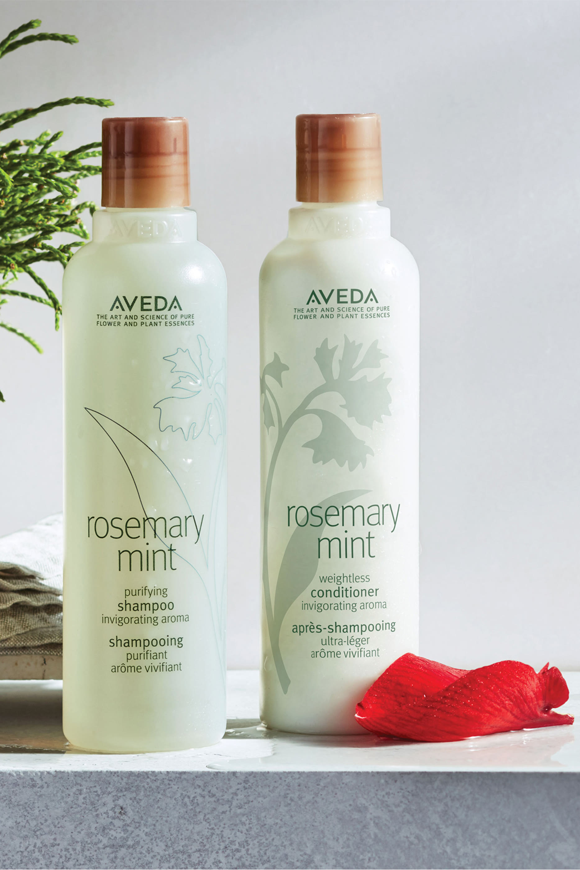 شامبو تنقية الشعر بالروزماري والنعناع