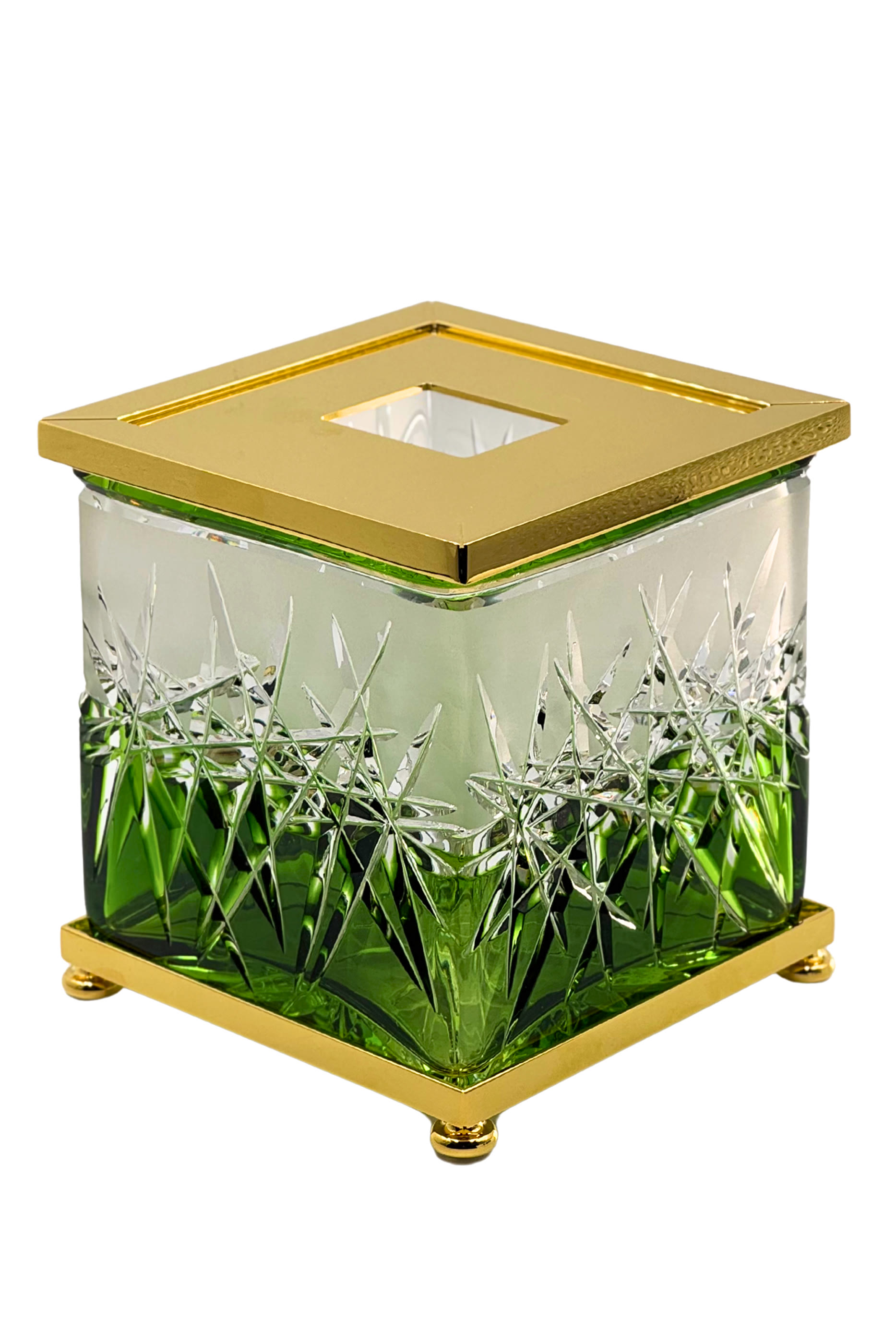 حامل مناديل ورقية أيفي أخضر