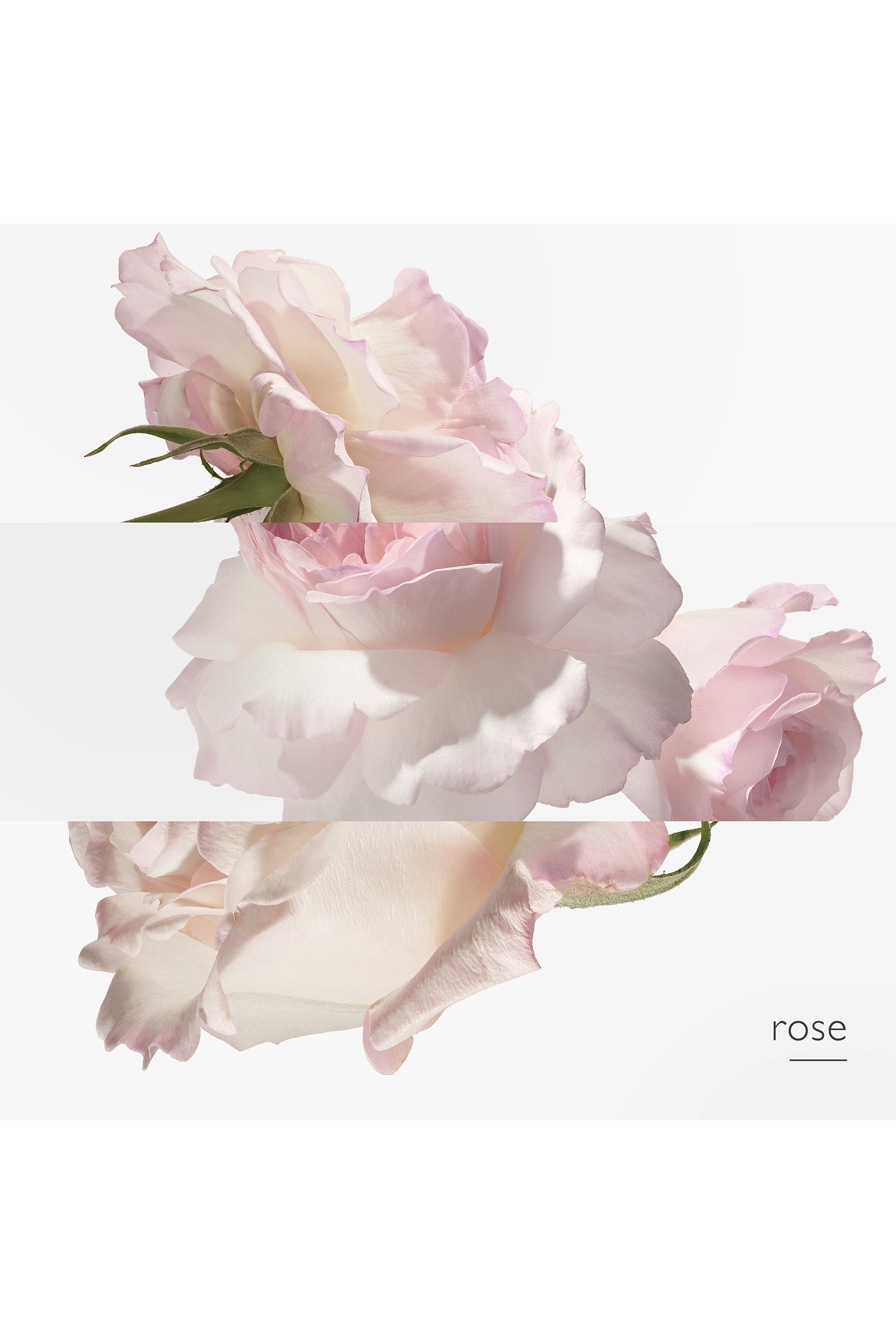 Twilly d'Hermès Eau Poivrée, ماء عطر