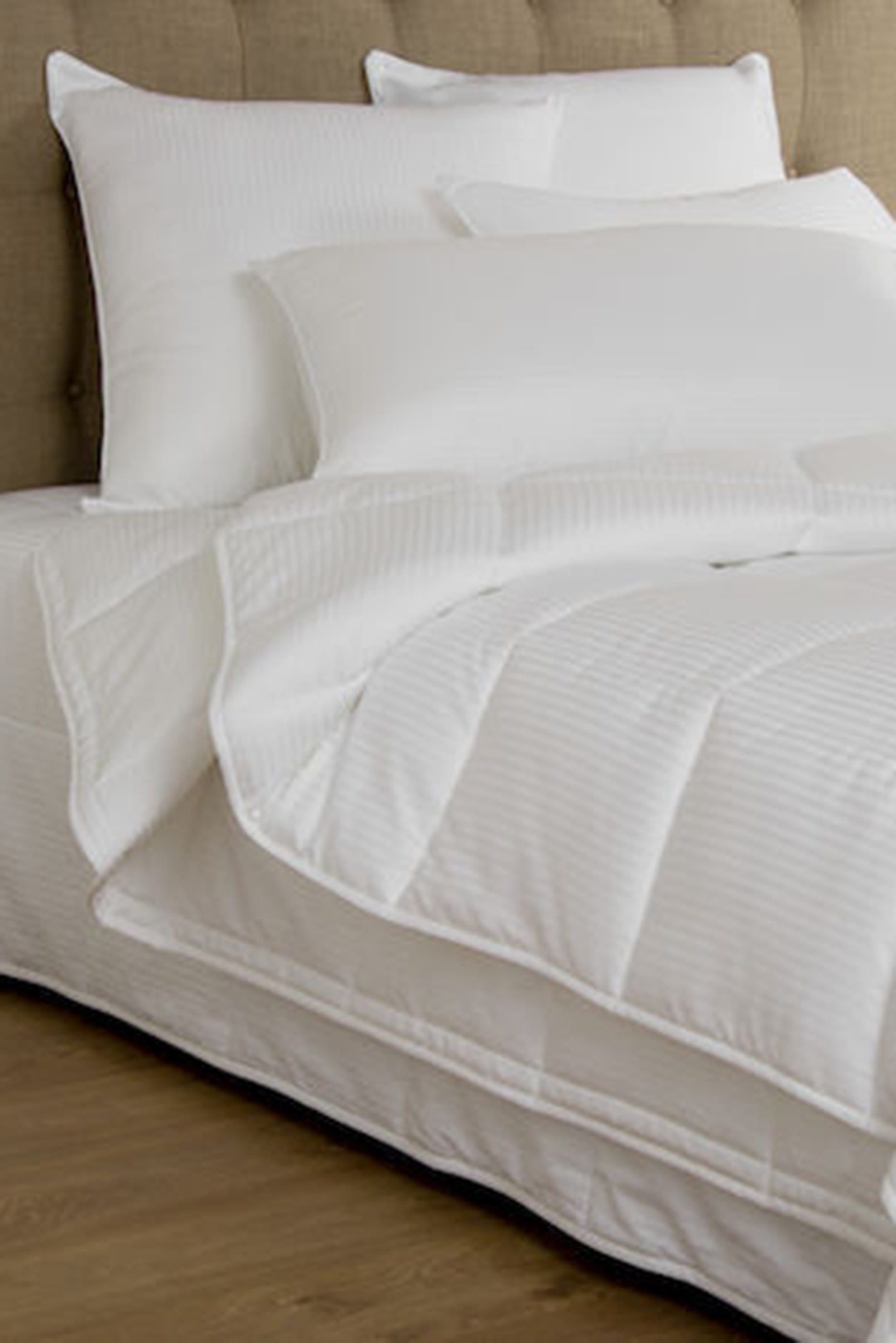 حشو وسادة نوفولا