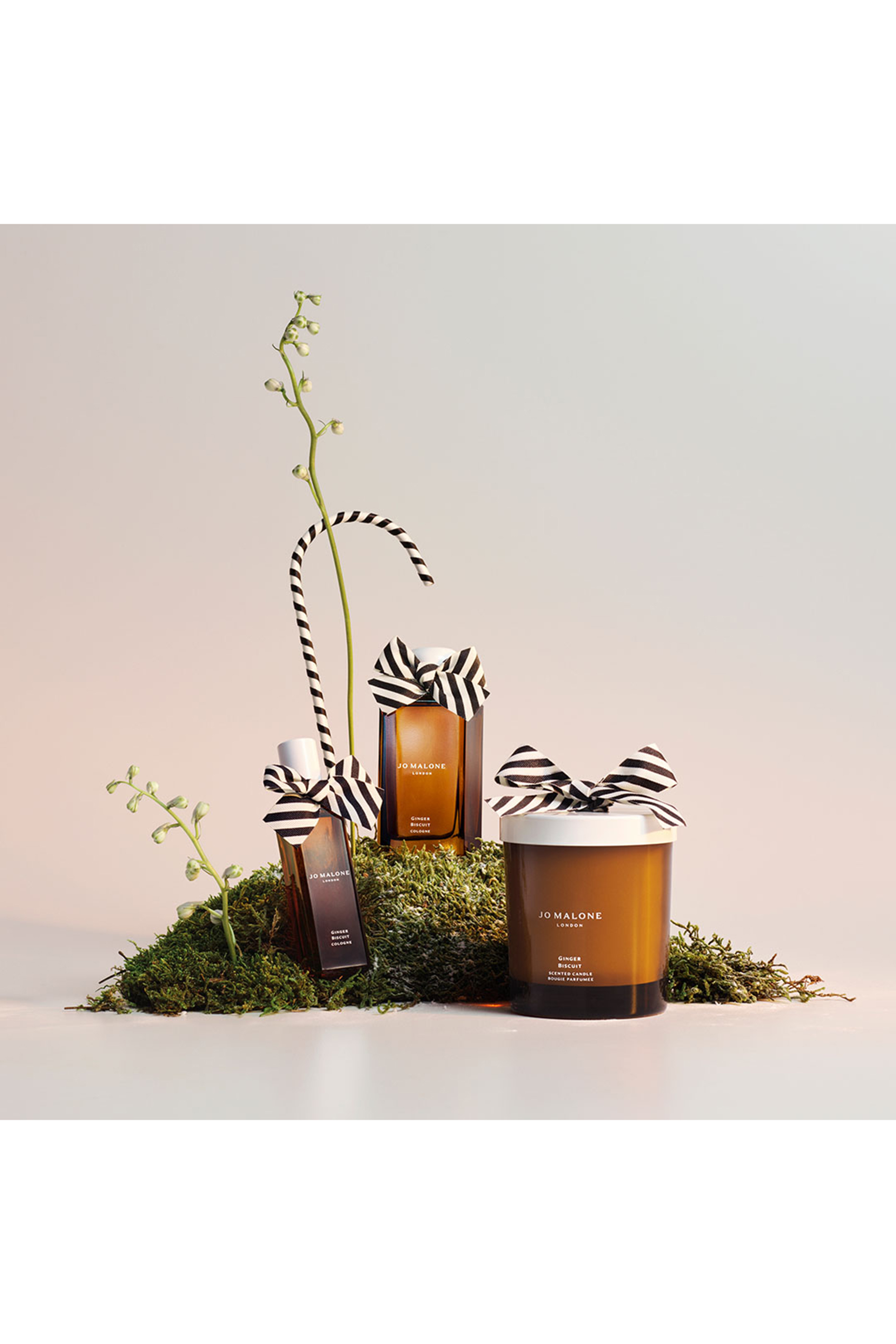 شمعة معطرة جينجر بيسكت