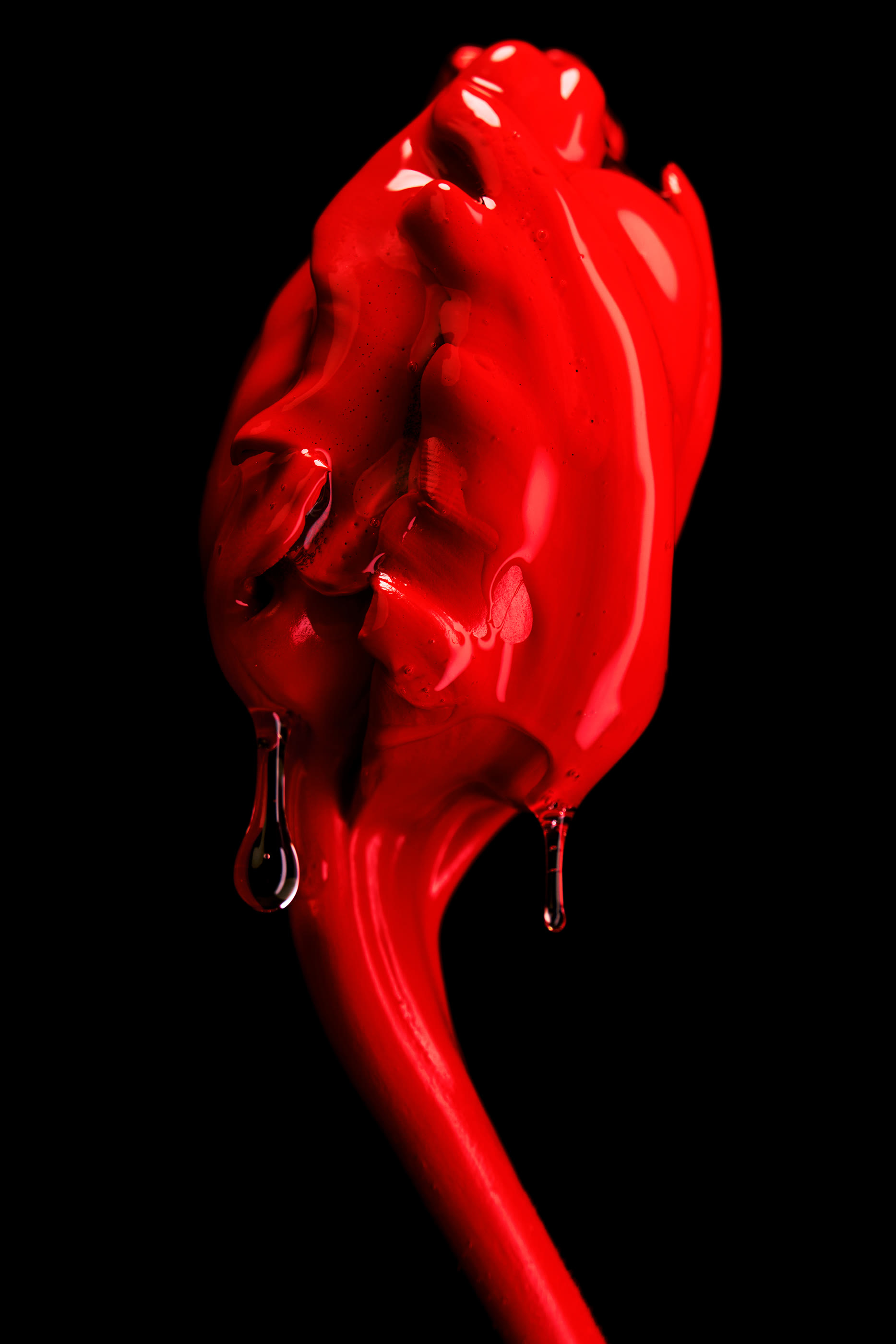 عطر روز أوف نو مانز لاند أبسولو