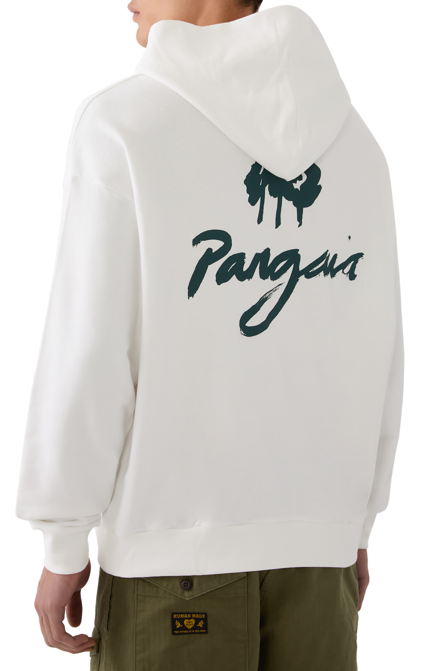 هودي وان فوريست غرافيك