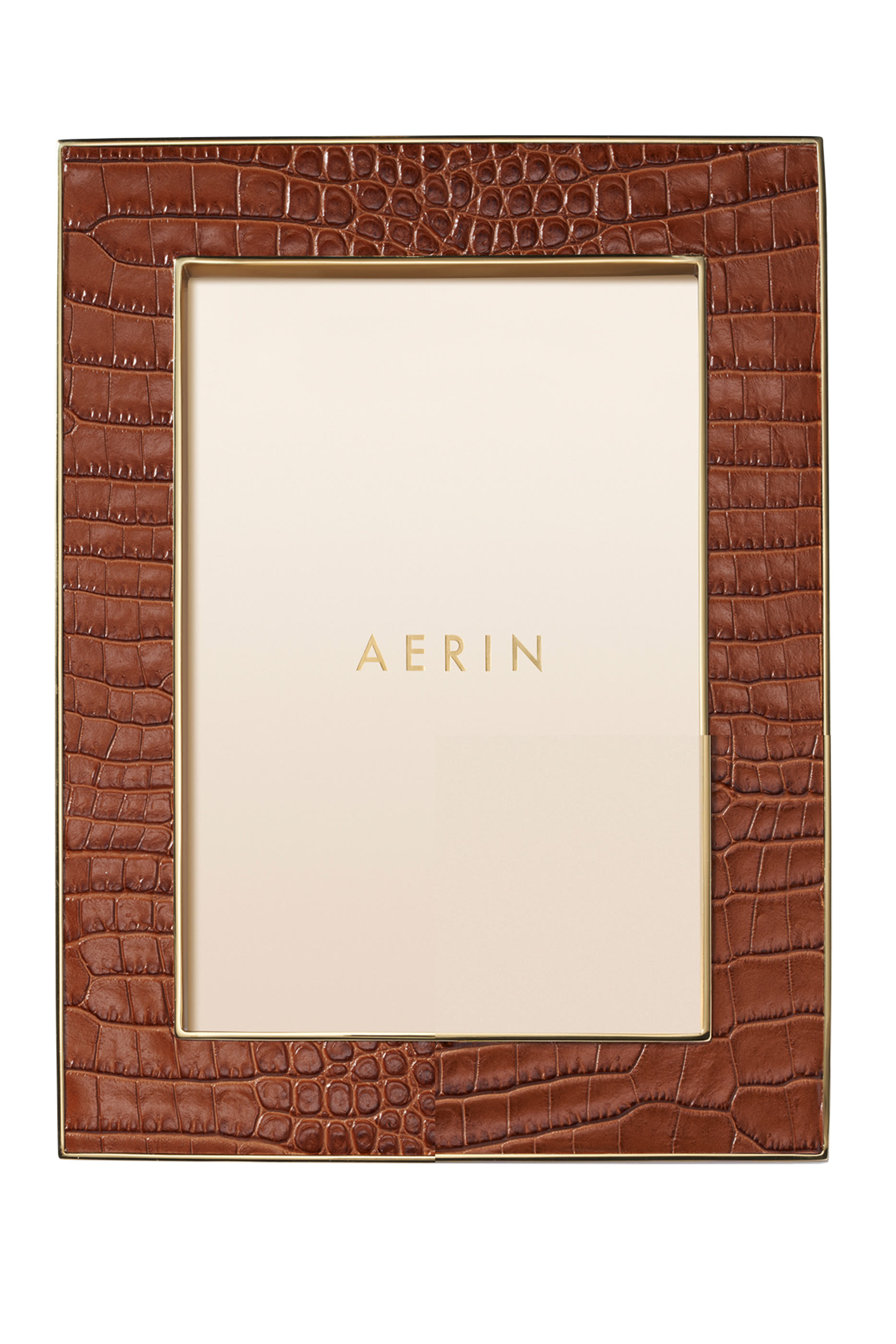 إطار صور كلاسيك جلد بنقشة جلد تمساح