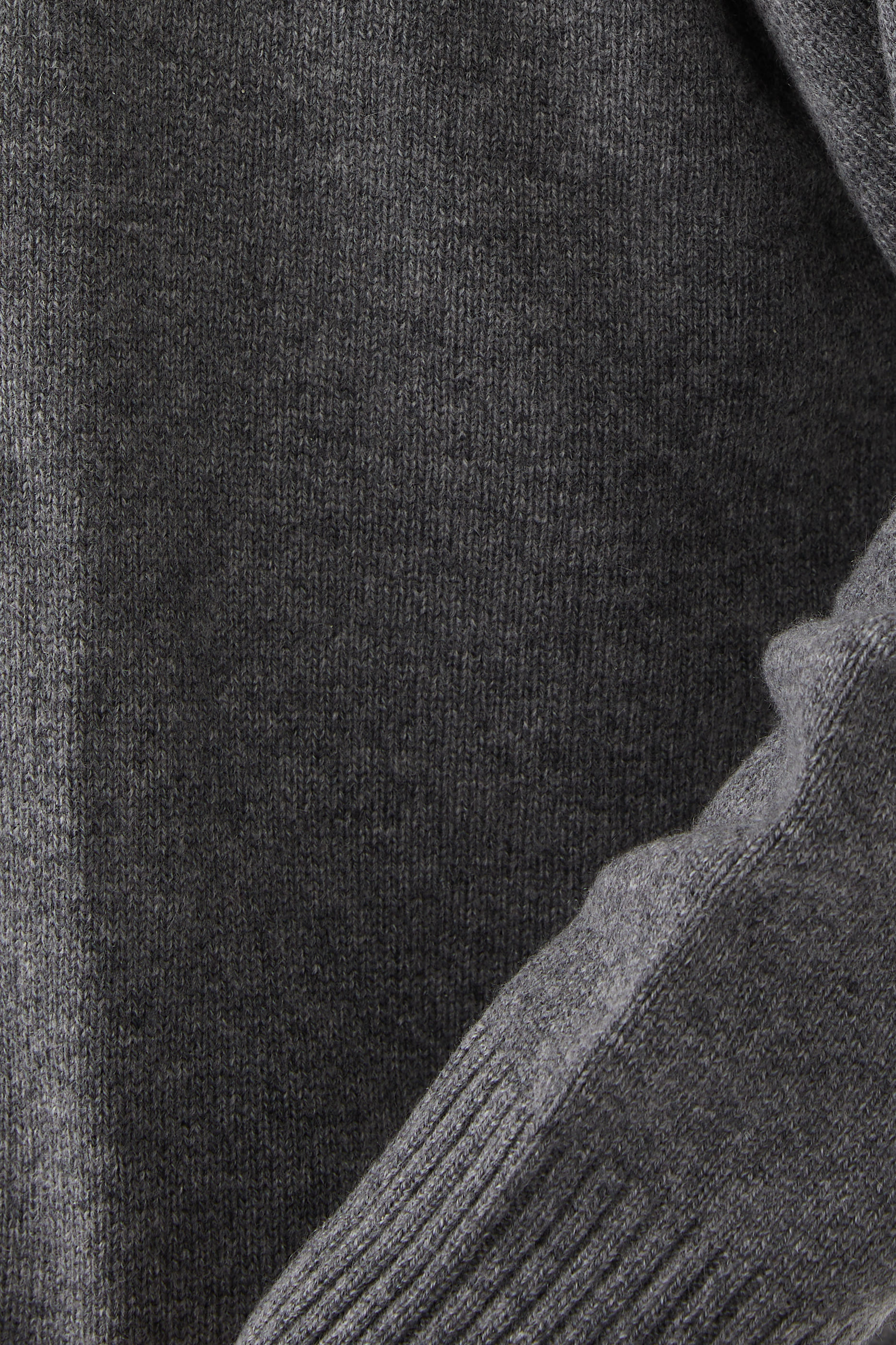 هودي صامويل