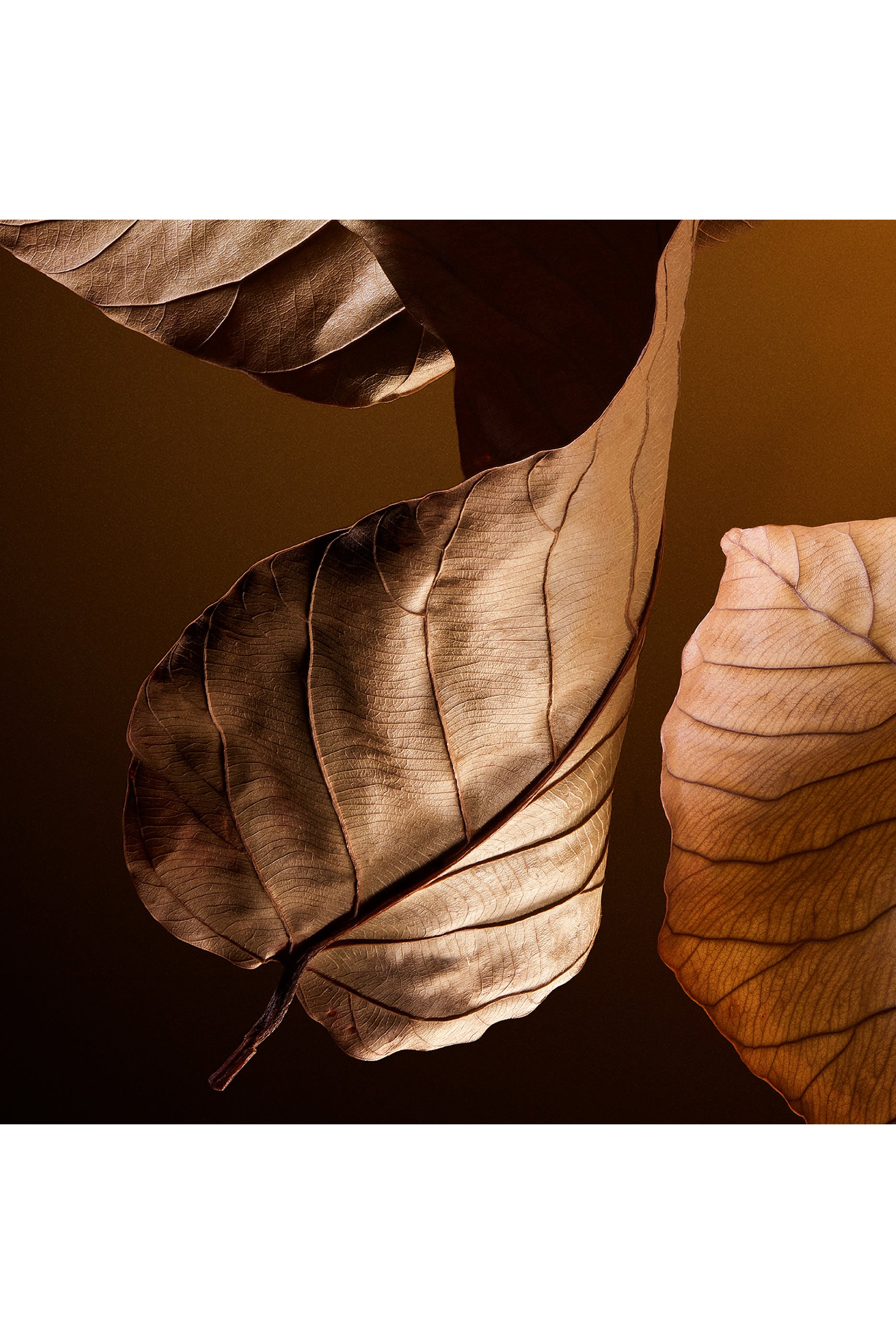 عطر ذا وان للرجال