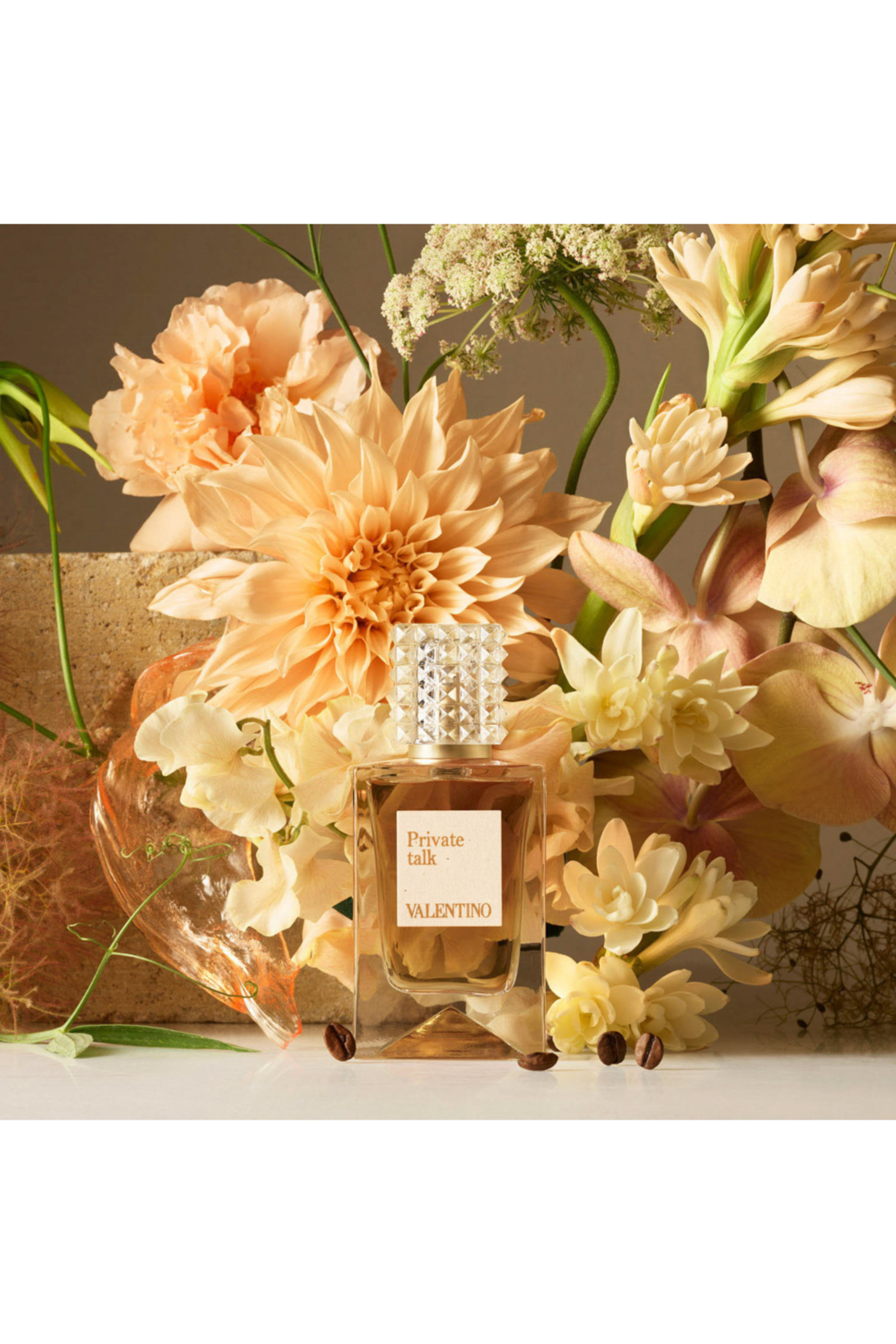 عطر أناتومي أوف دريمز - برايفت تالك