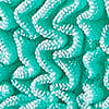 Turquoise/Aqua