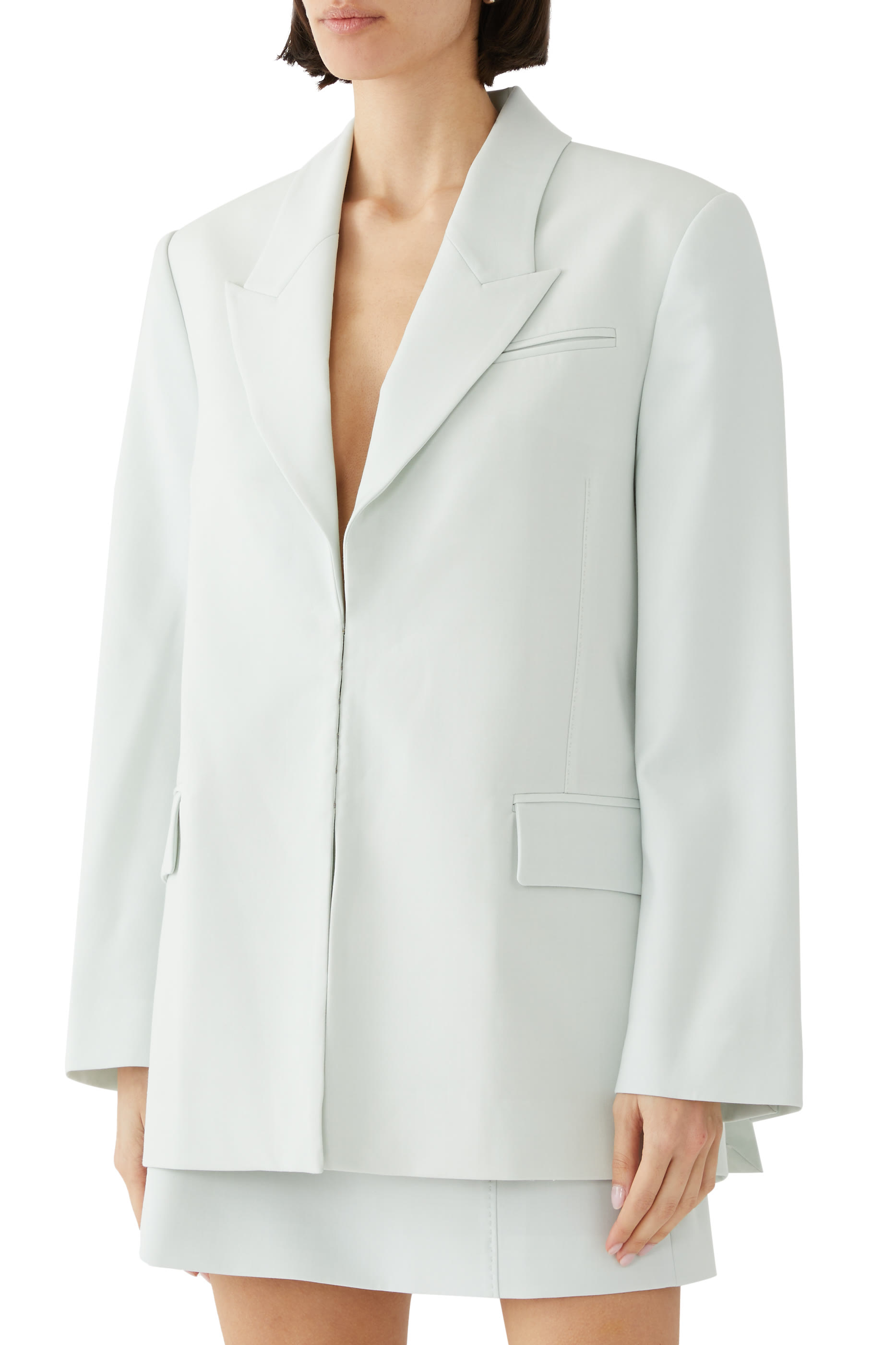 بليزر فرانسيس